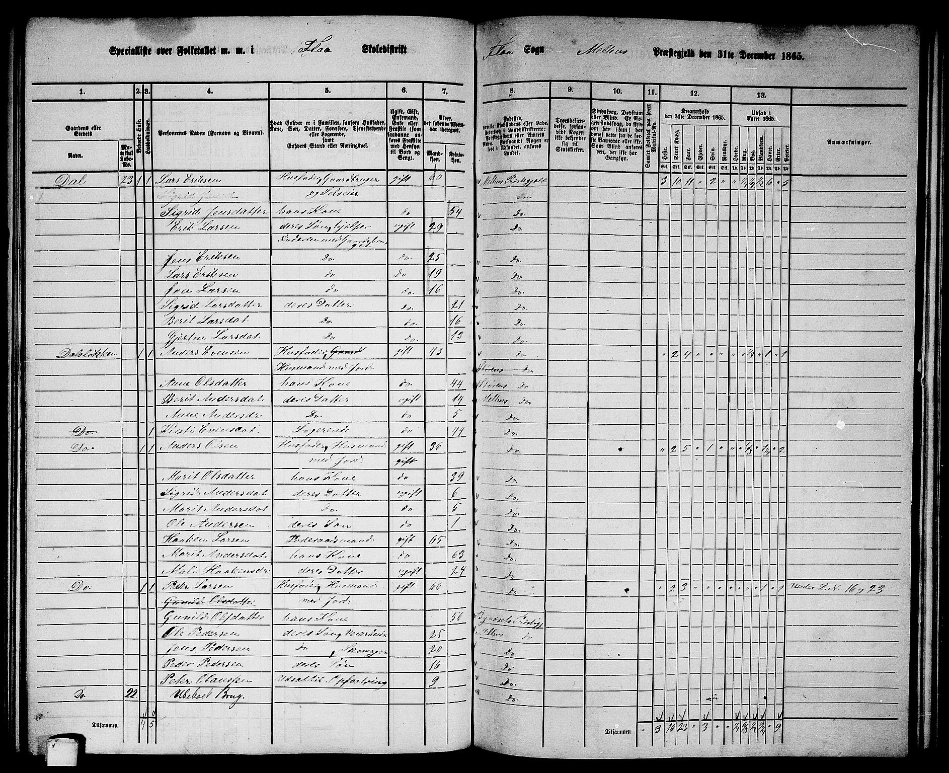 RA, 1865 census for Melhus, 1865, p. 142