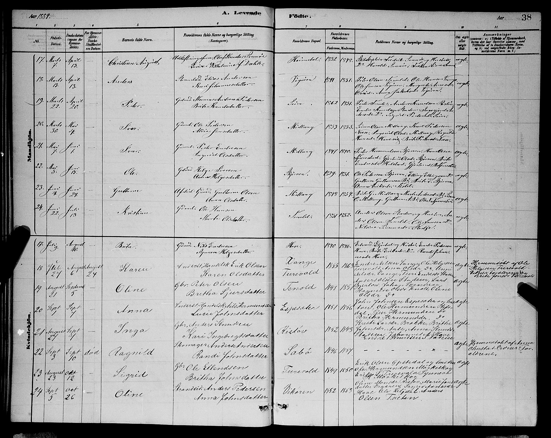 Vik sokneprestembete, AV/SAB-A-81501/H/Hab/Haba/L0003: Parish register (copy) no. A 3, 1878-1894, p. 38