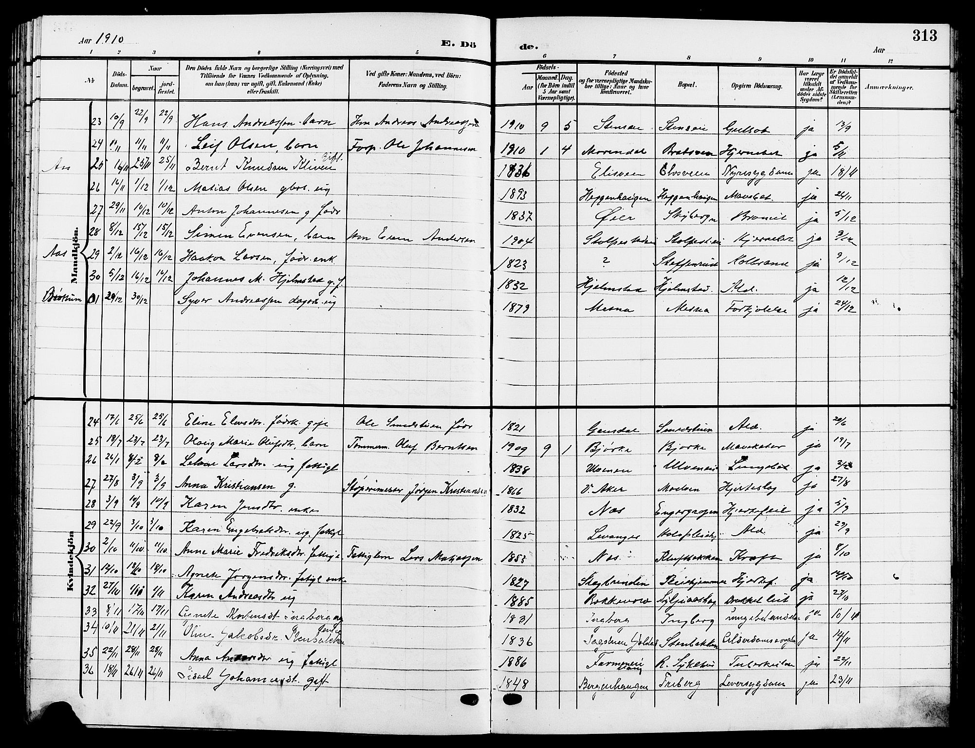 Ringsaker prestekontor, AV/SAH-PREST-014/L/La/L0015: Parish register (copy) no. 15, 1903-1912, p. 313