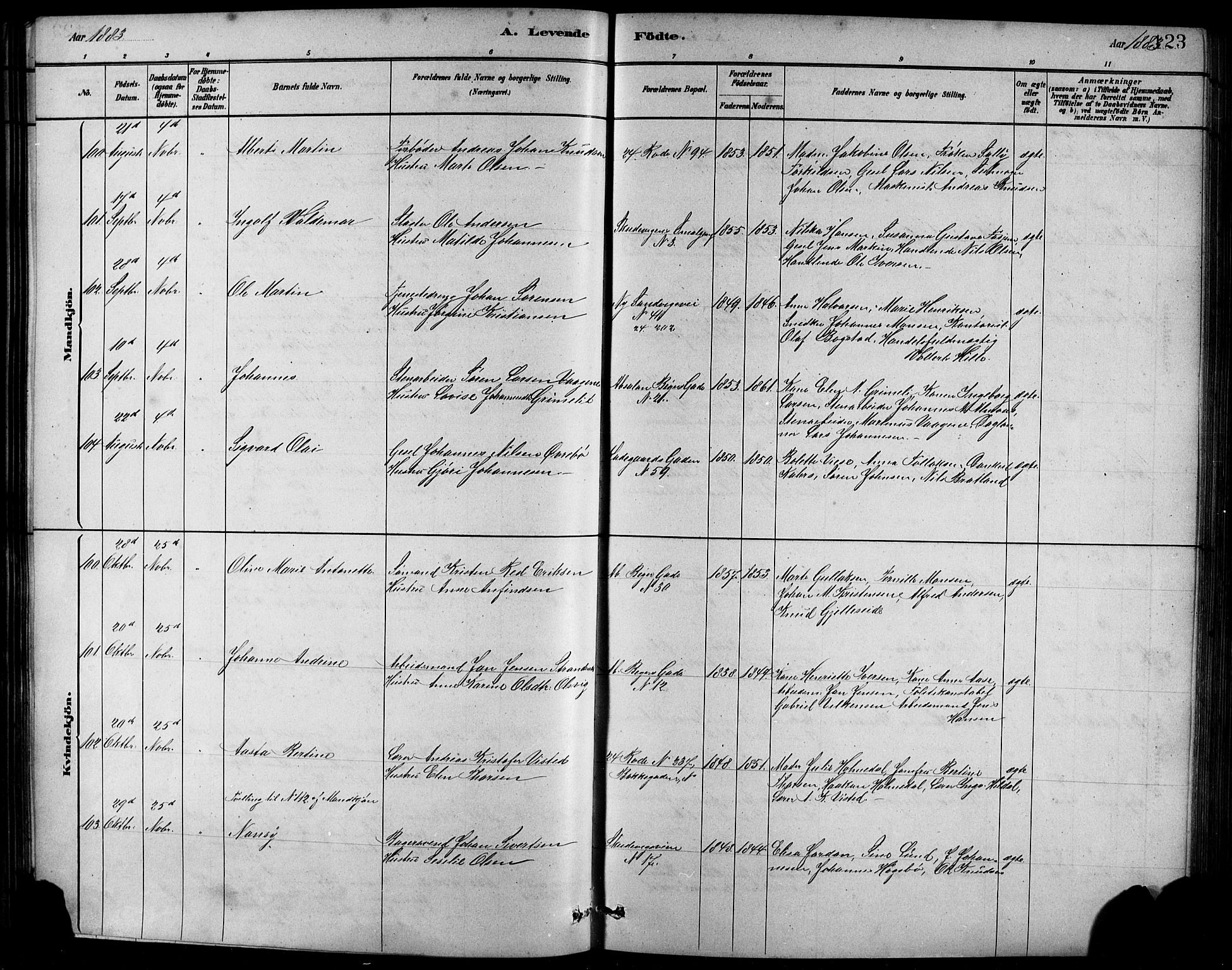 Sandviken Sokneprestembete, AV/SAB-A-77601/H/Hb/L0001: Parish register (copy) no. A 2, 1879-1892, p. 123