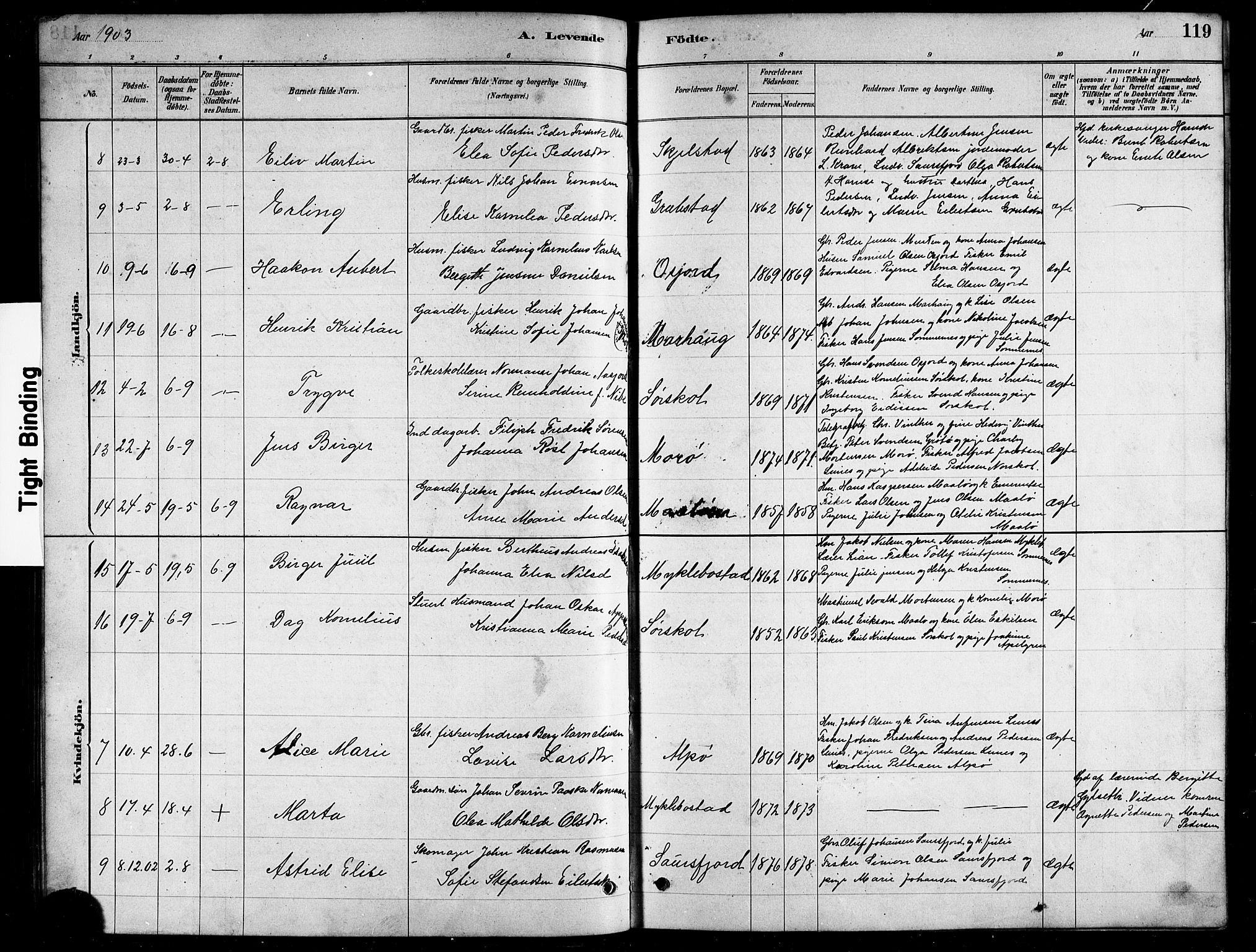 Ministerialprotokoller, klokkerbøker og fødselsregistre - Nordland, AV/SAT-A-1459/857/L0828: Parish register (copy) no. 857C03, 1879-1908, p. 119