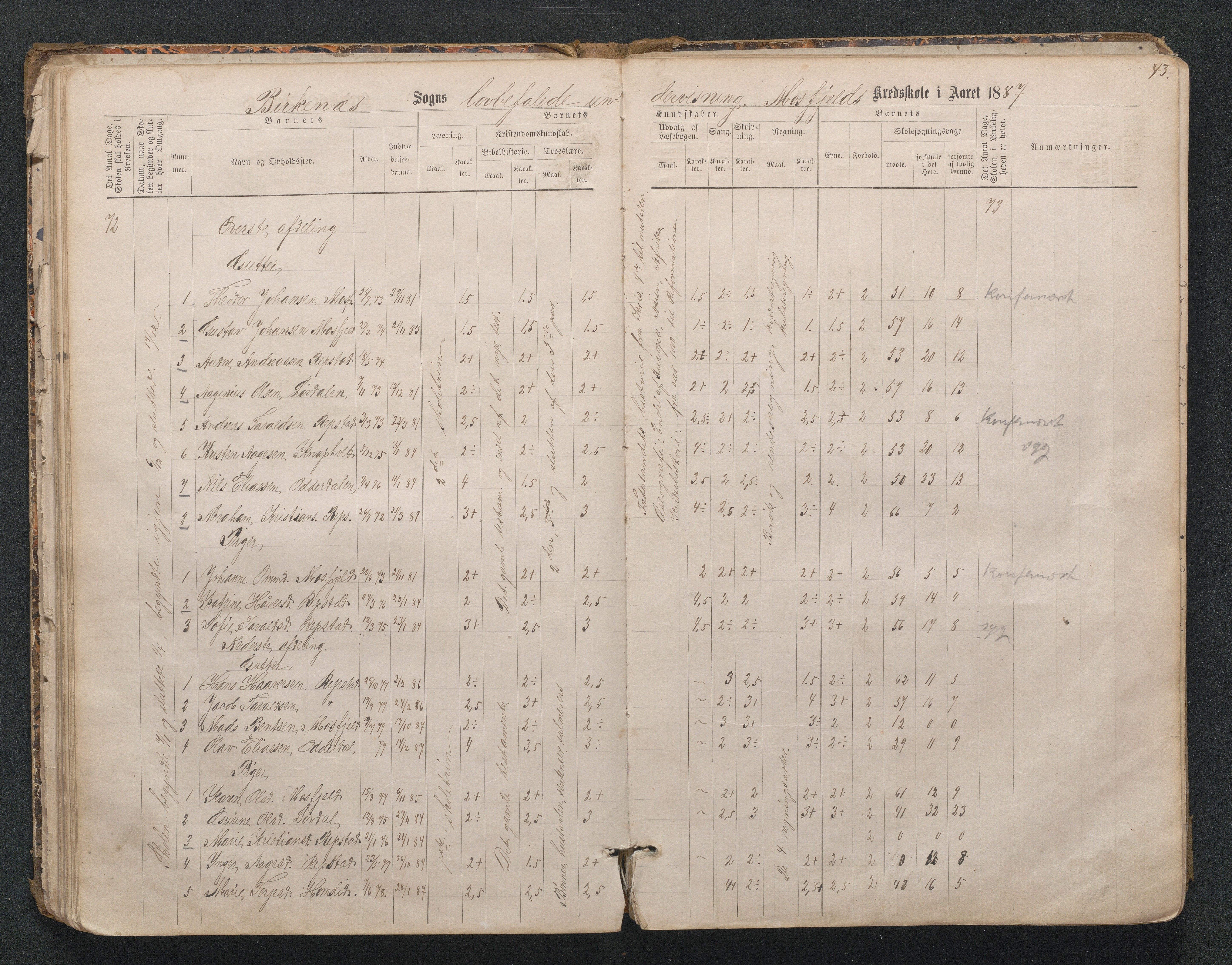 Birkenes kommune, Mosfjell skolekrets, AAKS/KA0928-550f_91/F02/L0001: Skoleprotokoll Flå og Mosfjell, 1867-1909, p. 43