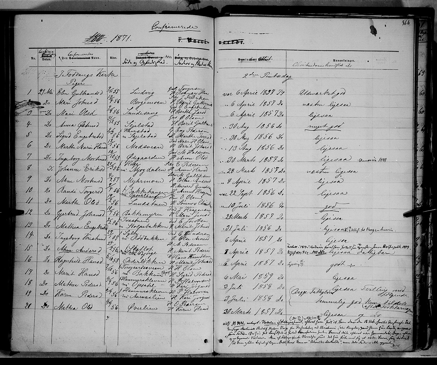 Ringebu prestekontor, SAH/PREST-082/H/Ha/Haa/L0007: Parish register (official) no. 7, 1860-1877, p. 366
