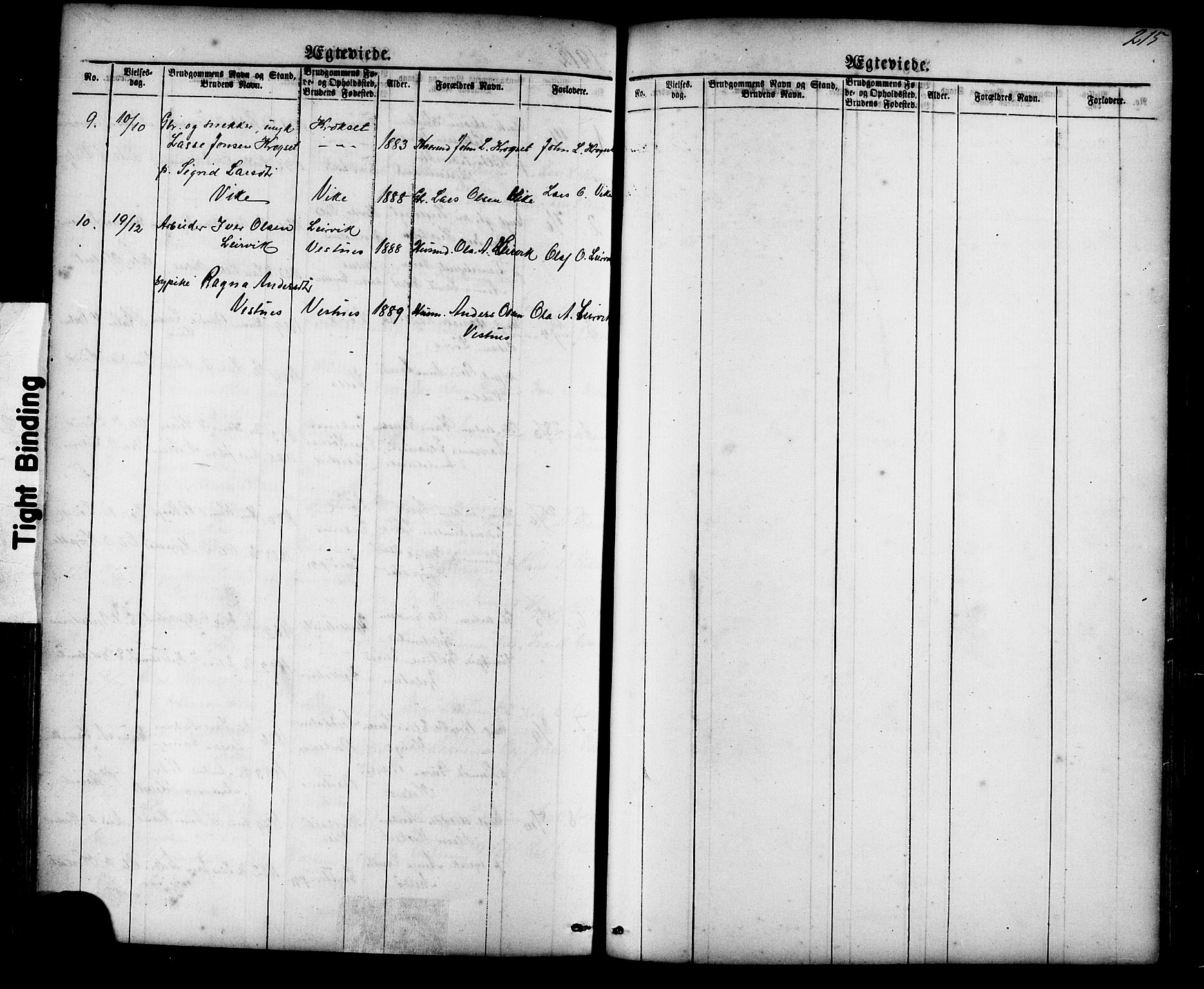 Ministerialprotokoller, klokkerbøker og fødselsregistre - Møre og Romsdal, AV/SAT-A-1454/539/L0536: Parish register (copy) no. 539C02, 1867-1913, p. 215