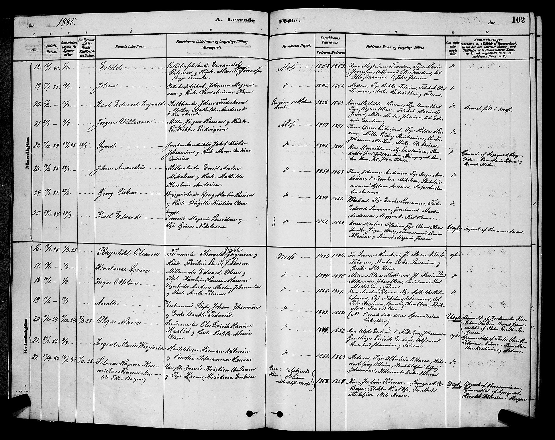 Moss prestekontor Kirkebøker, AV/SAO-A-2003/G/Ga/L0005: Parish register (copy) no. I 5, 1878-1888, p. 102