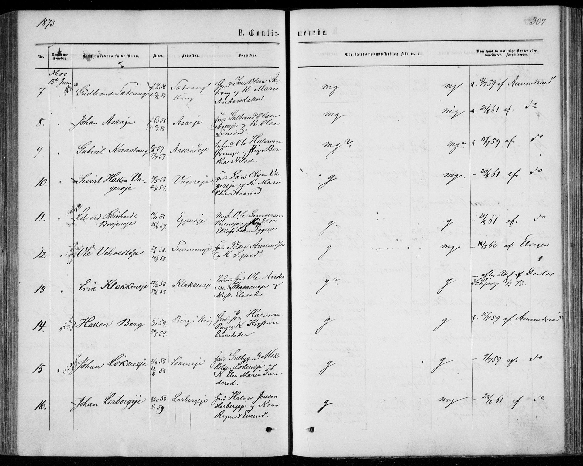 Norderhov kirkebøker, SAKO/A-237/F/Fa/L0013: Parish register (official) no. 13, 1866-1874, p. 307