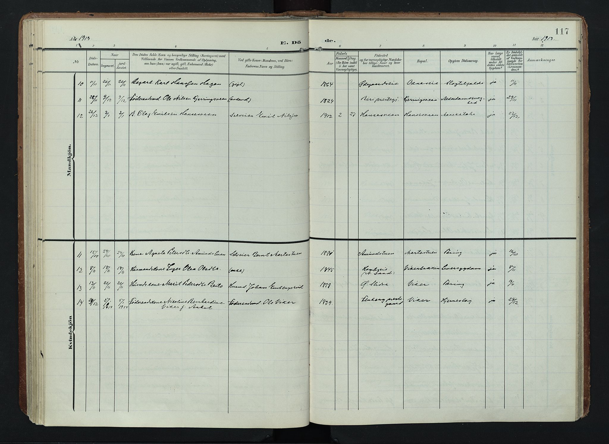 Søndre Land prestekontor, SAH/PREST-122/K/L0005: Parish register (official) no. 5, 1905-1914, p. 117