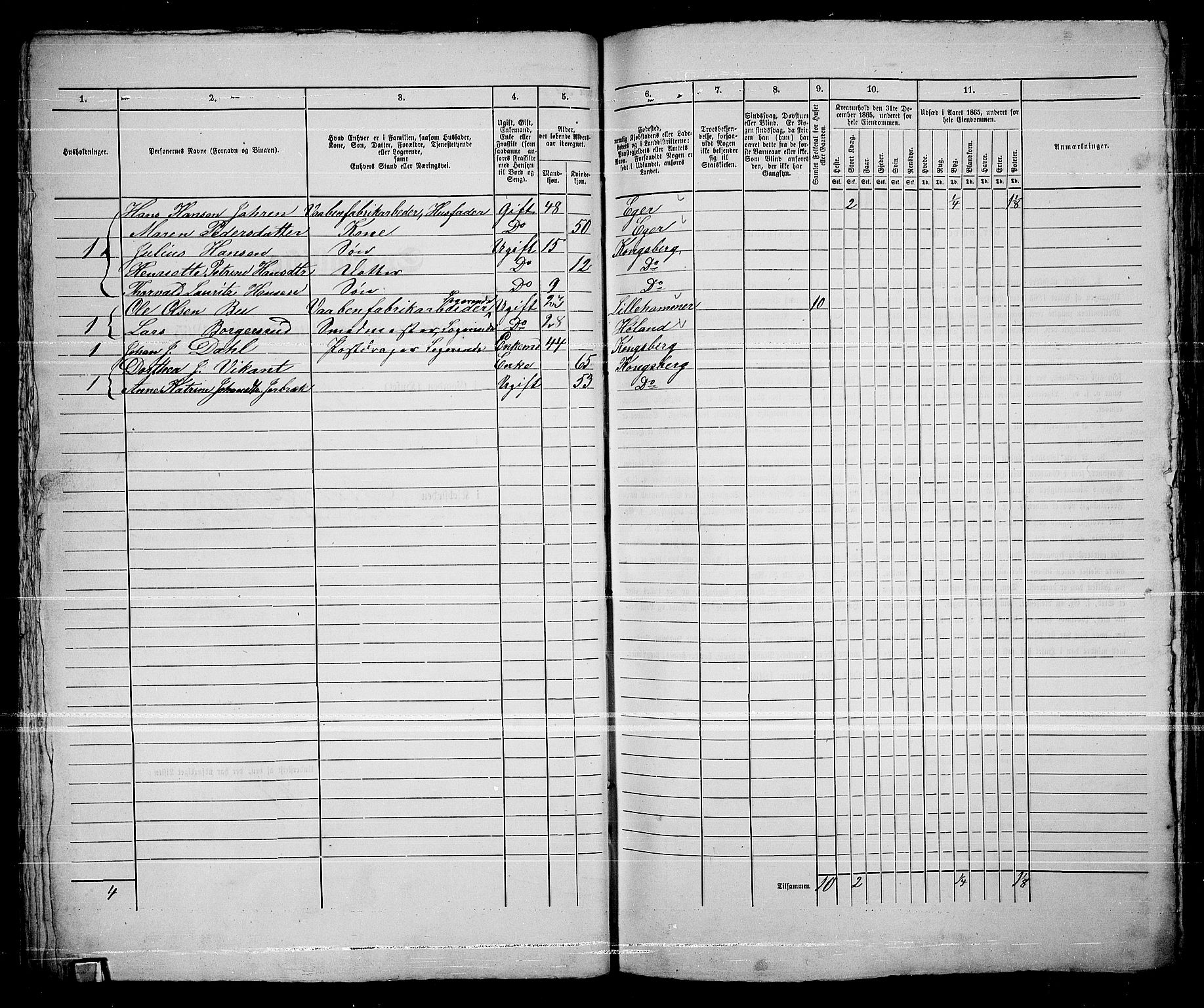 RA, 1865 census for Kongsberg/Kongsberg, 1865, p. 46