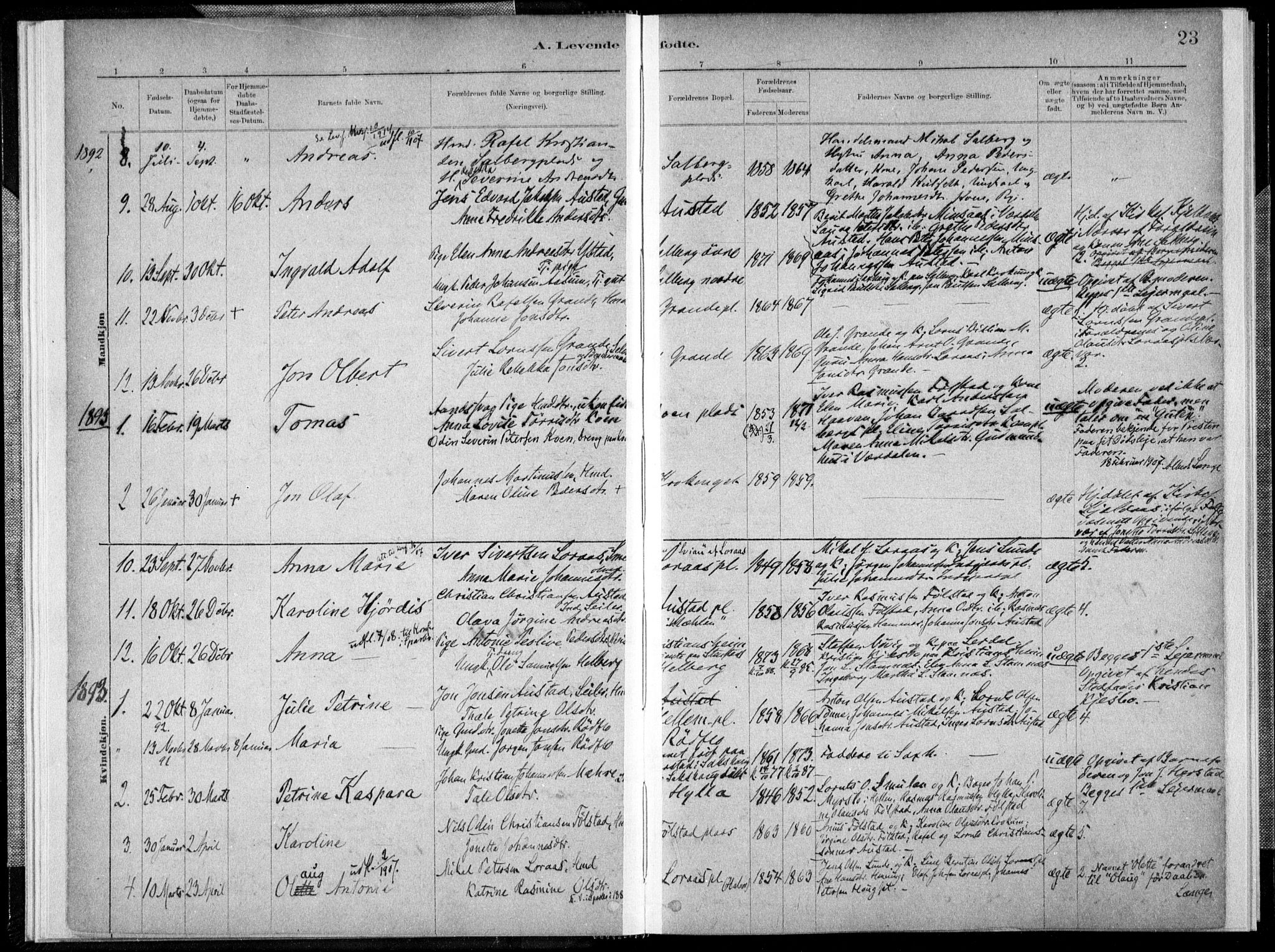 Ministerialprotokoller, klokkerbøker og fødselsregistre - Nord-Trøndelag, AV/SAT-A-1458/731/L0309: Parish register (official) no. 731A01, 1879-1918, p. 23