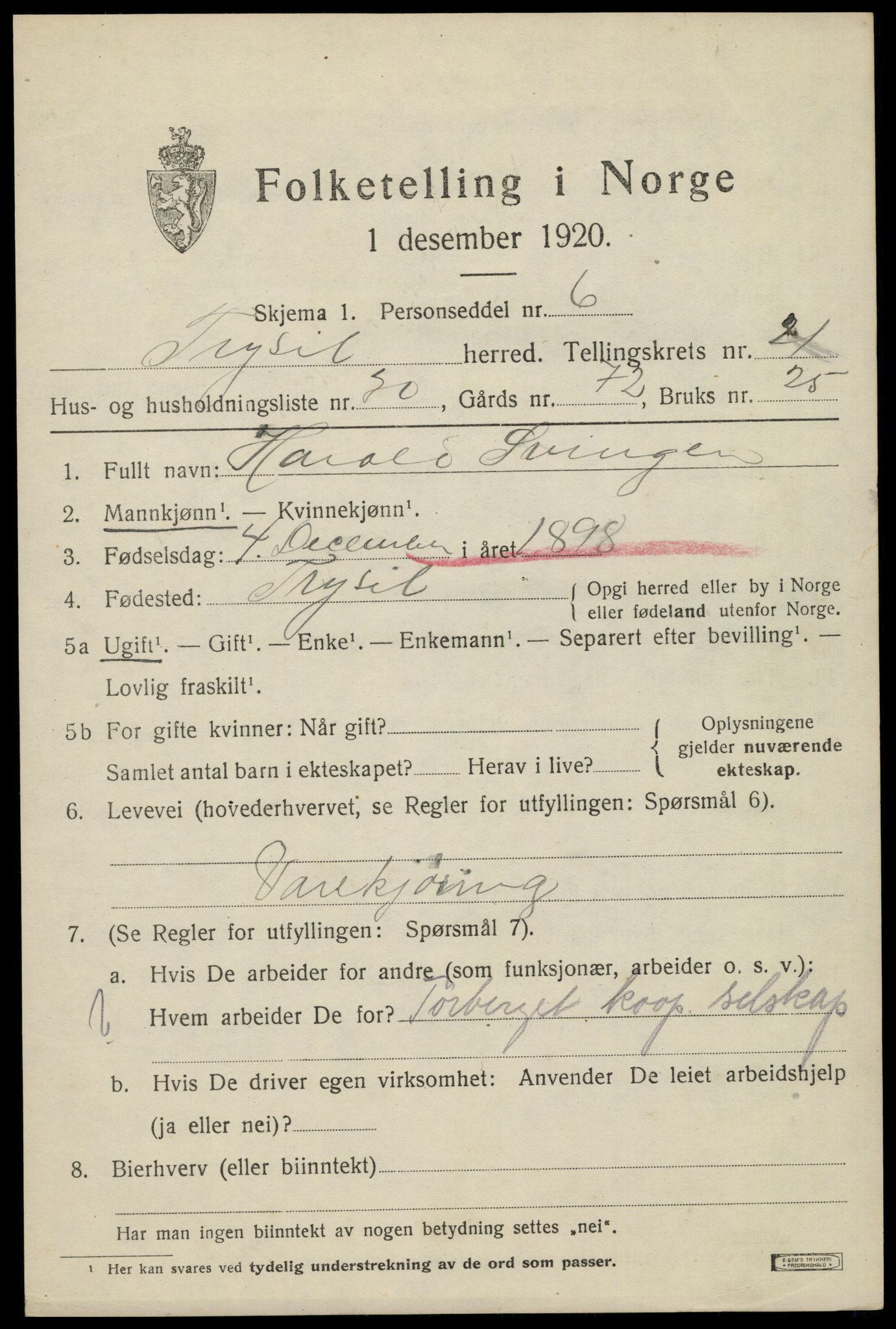 SAH, 1920 census for Trysil, 1920, p. 14129