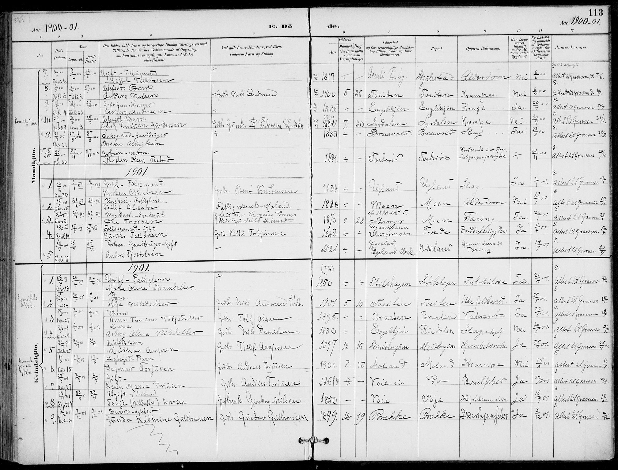 Austre Moland sokneprestkontor, SAK/1111-0001/F/Fa/Faa/L0011: Parish register (official) no. A 11, 1894-1915, p. 113