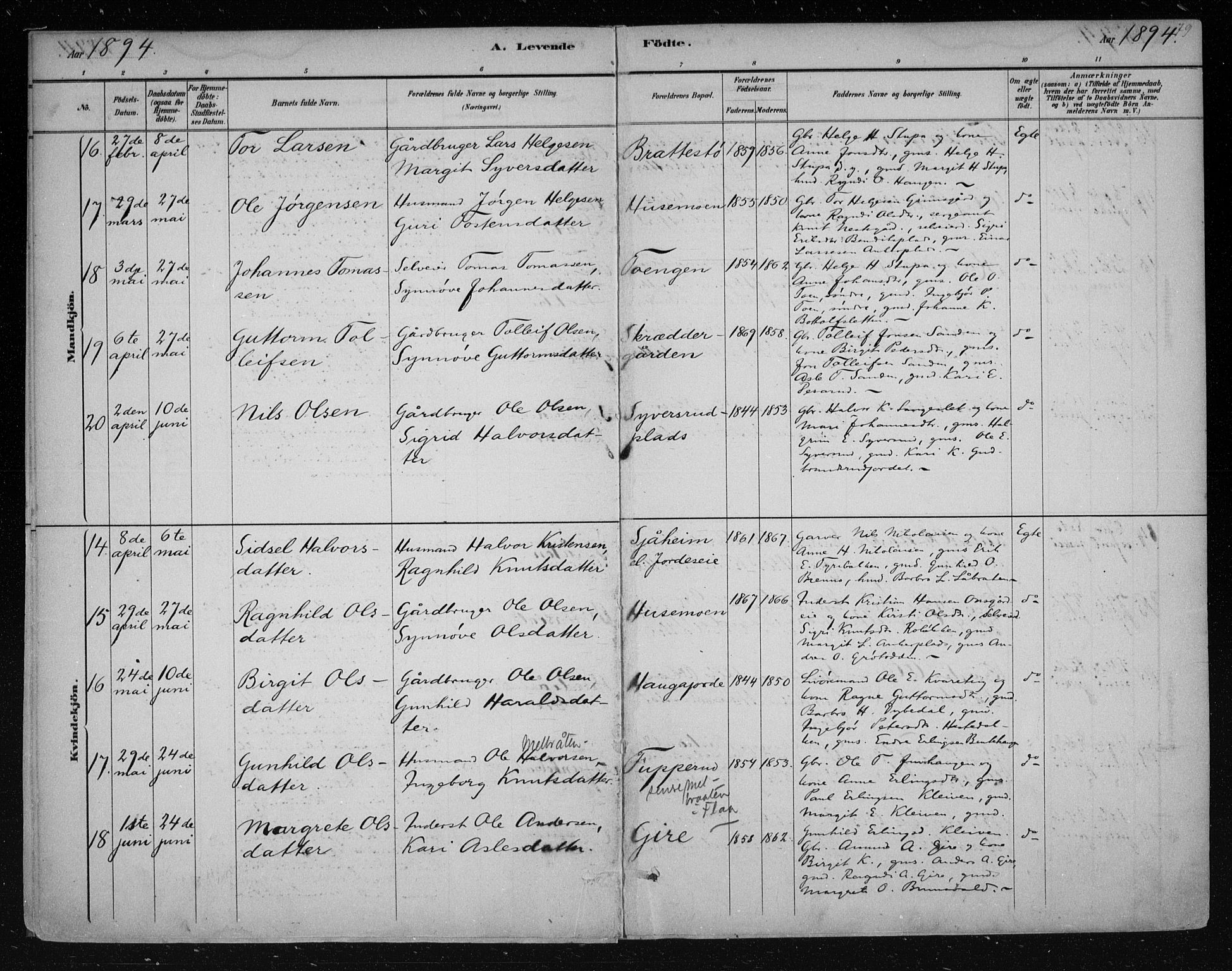 Nes kirkebøker, AV/SAKO-A-236/F/Fa/L0011: Parish register (official) no. 11, 1881-1912, p. 79