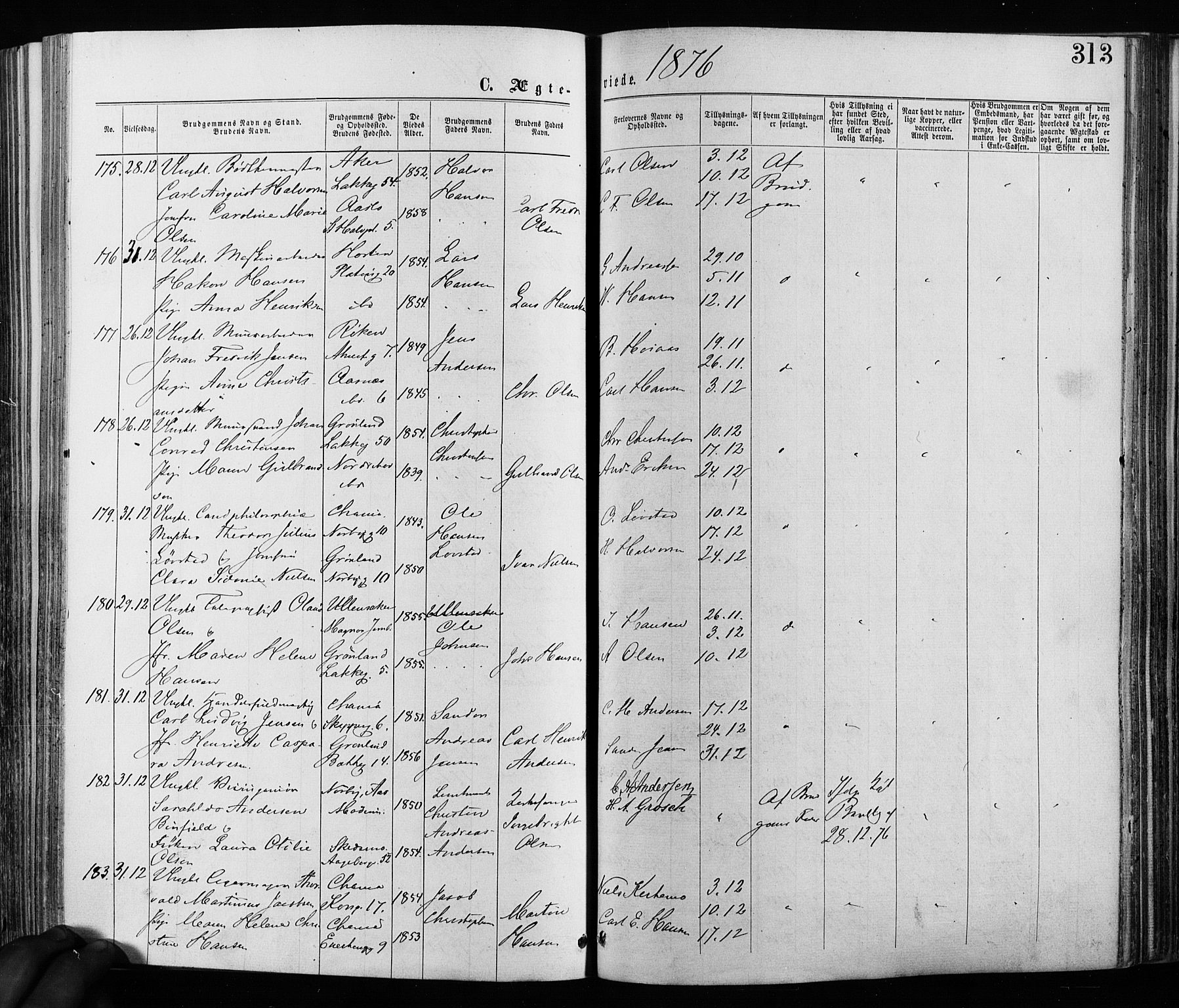 Grønland prestekontor Kirkebøker, AV/SAO-A-10848/F/Fa/L0005: Parish register (official) no. 5, 1869-1880, p. 313