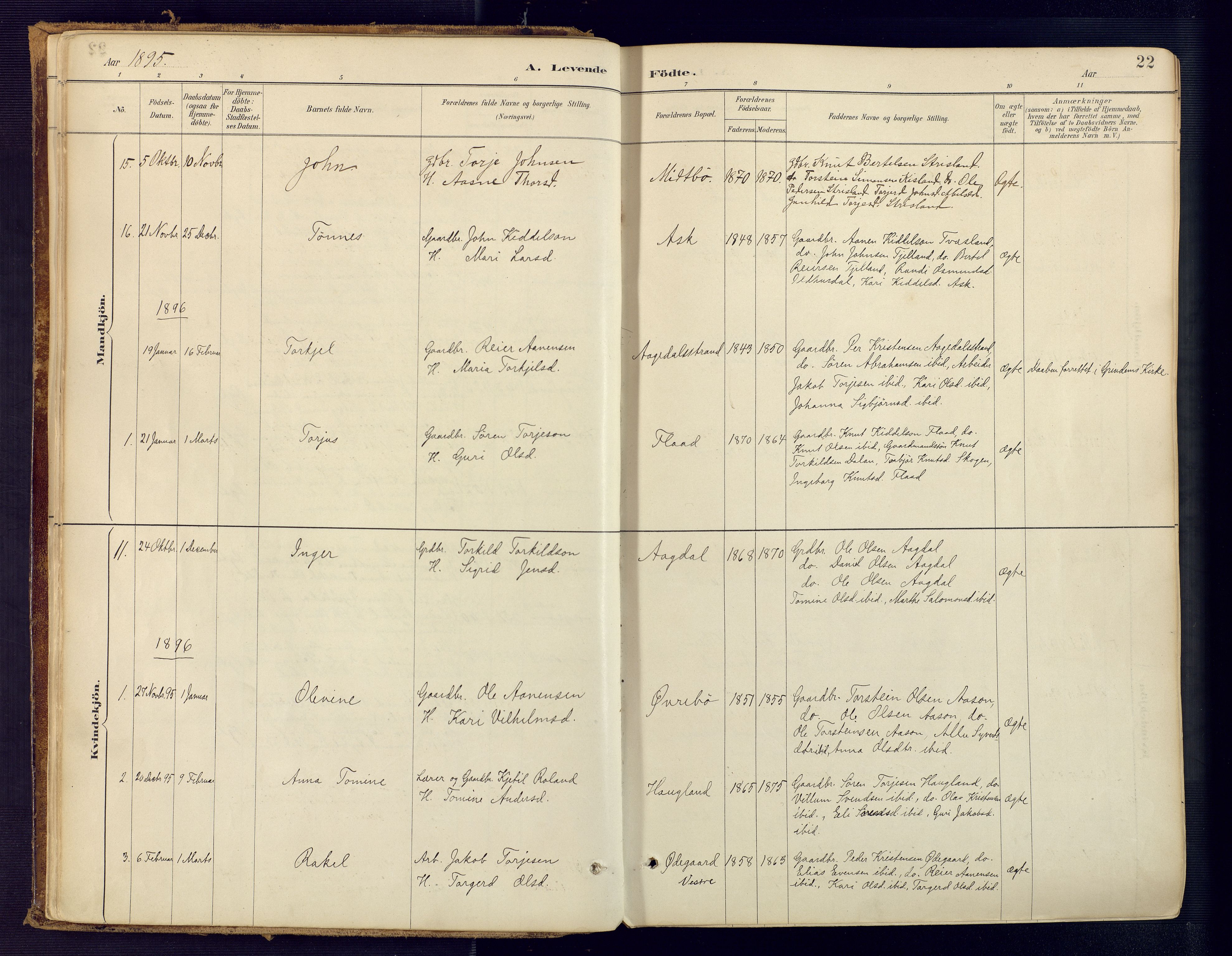 Bjelland sokneprestkontor, SAK/1111-0005/F/Fa/Faa/L0004: Parish register (official) no. A 4, 1887-1923, p. 22
