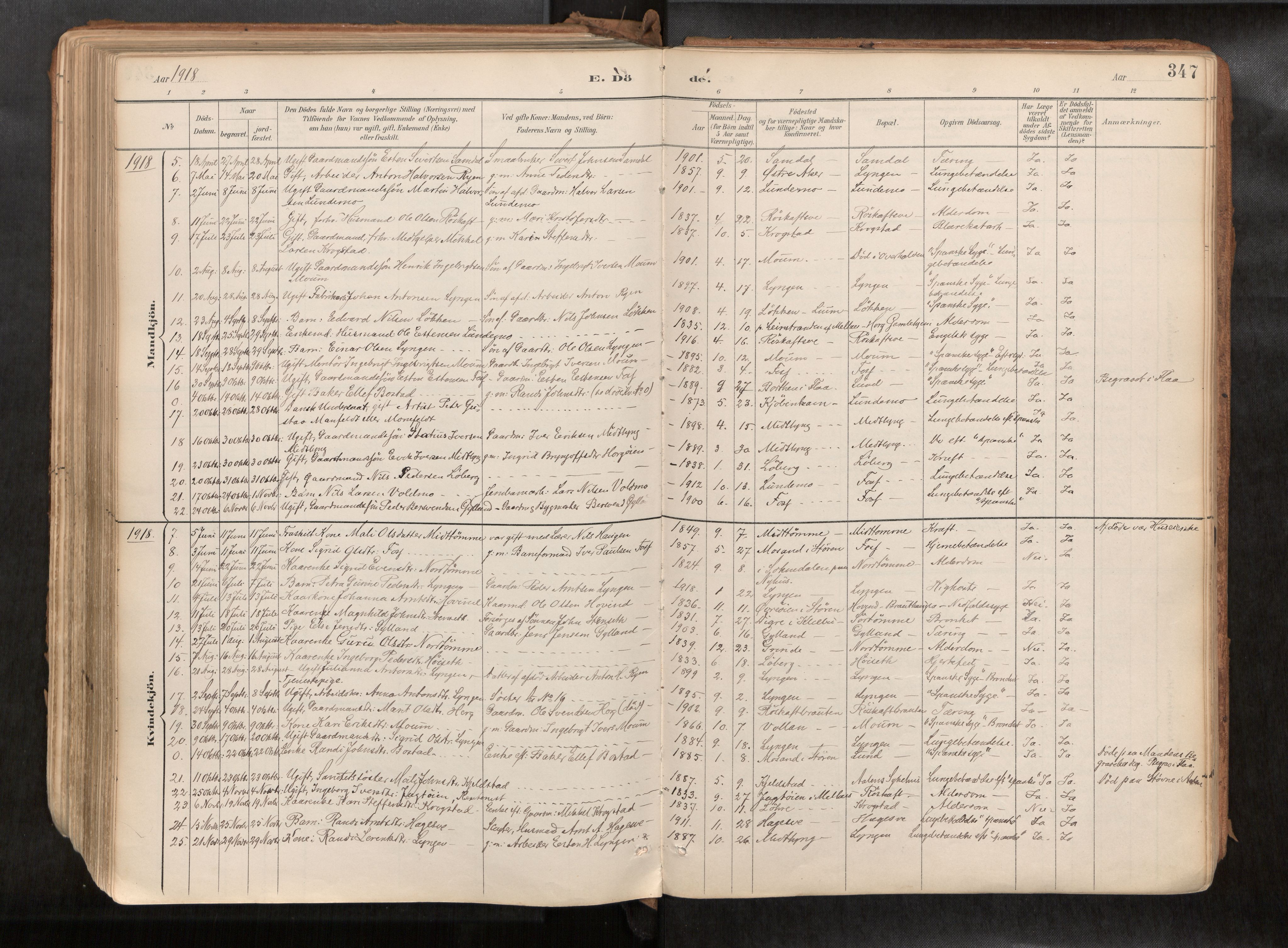 Ministerialprotokoller, klokkerbøker og fødselsregistre - Sør-Trøndelag, SAT/A-1456/692/L1105b: Parish register (official) no. 692A06, 1891-1934, p. 347