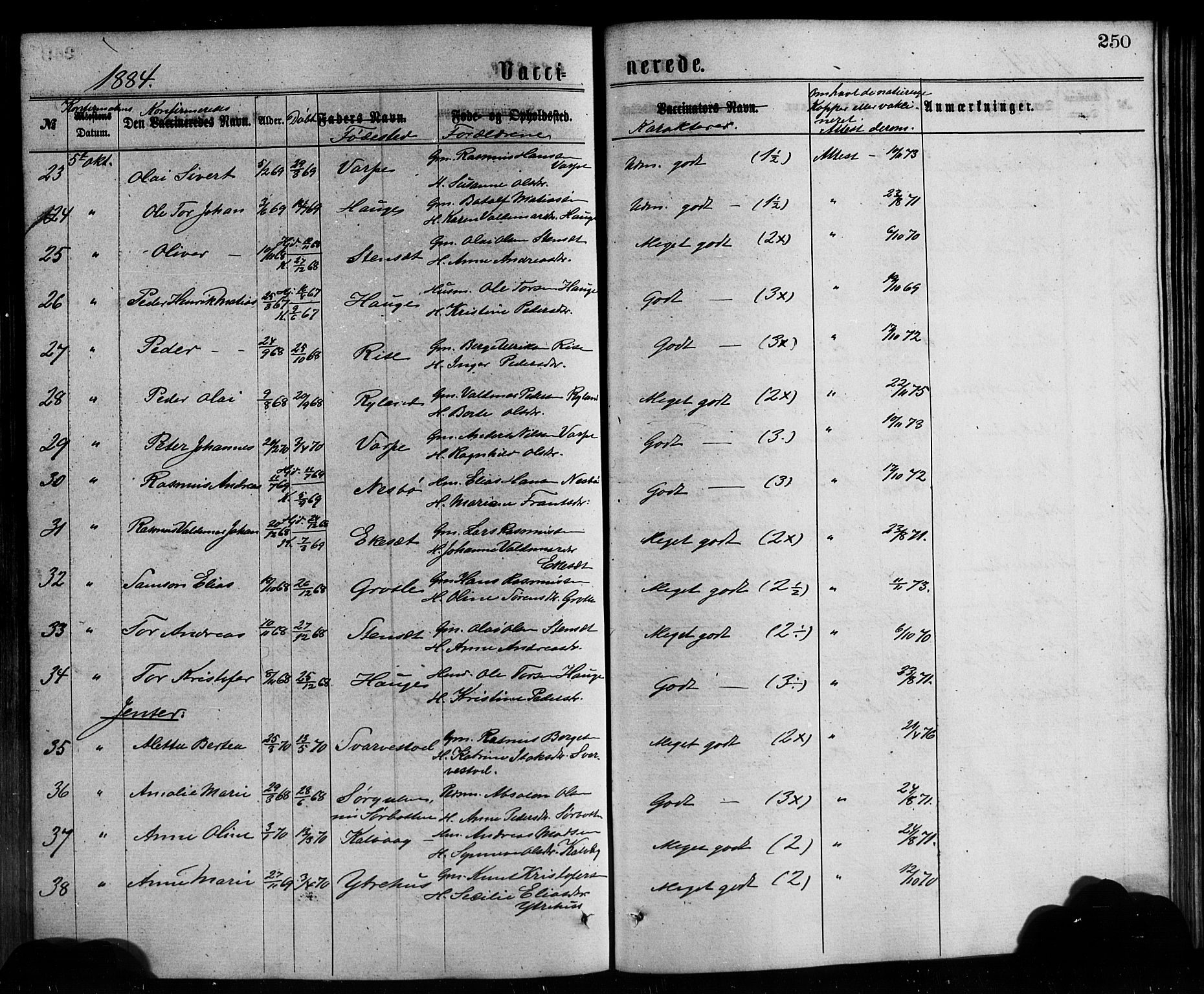 Bremanger sokneprestembete, AV/SAB-A-82201/H/Hab/Haba/L0002: Parish register (copy) no. A 2, 1866-1889, p. 250