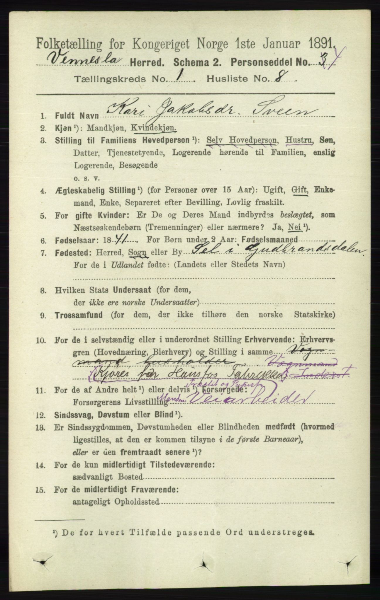 RA, 1891 census for 1014 Vennesla, 1891, p. 110