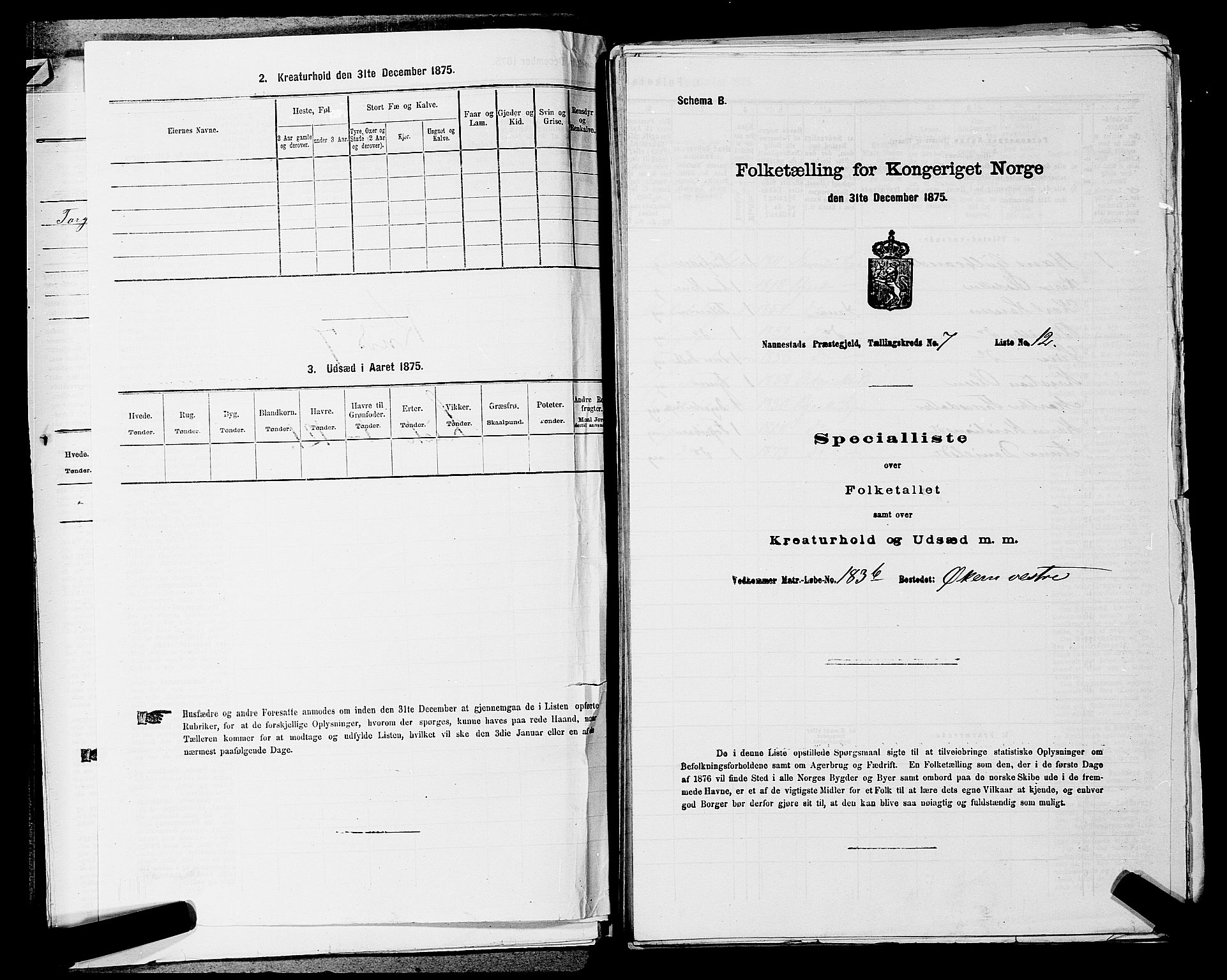 RA, 1875 census for 0238P Nannestad, 1875, p. 999