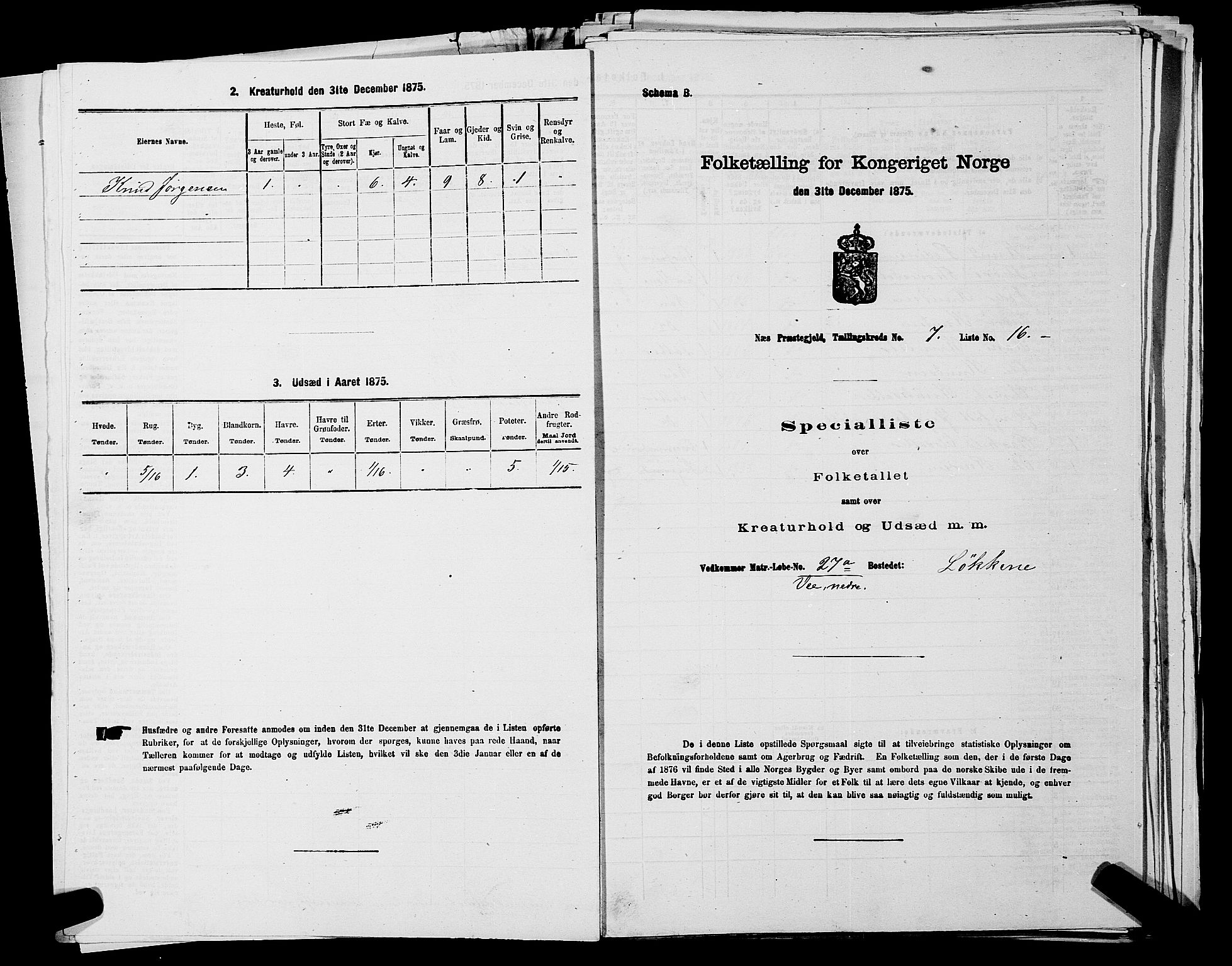 SAKO, 1875 census for 0616P Nes, 1875, p. 1175