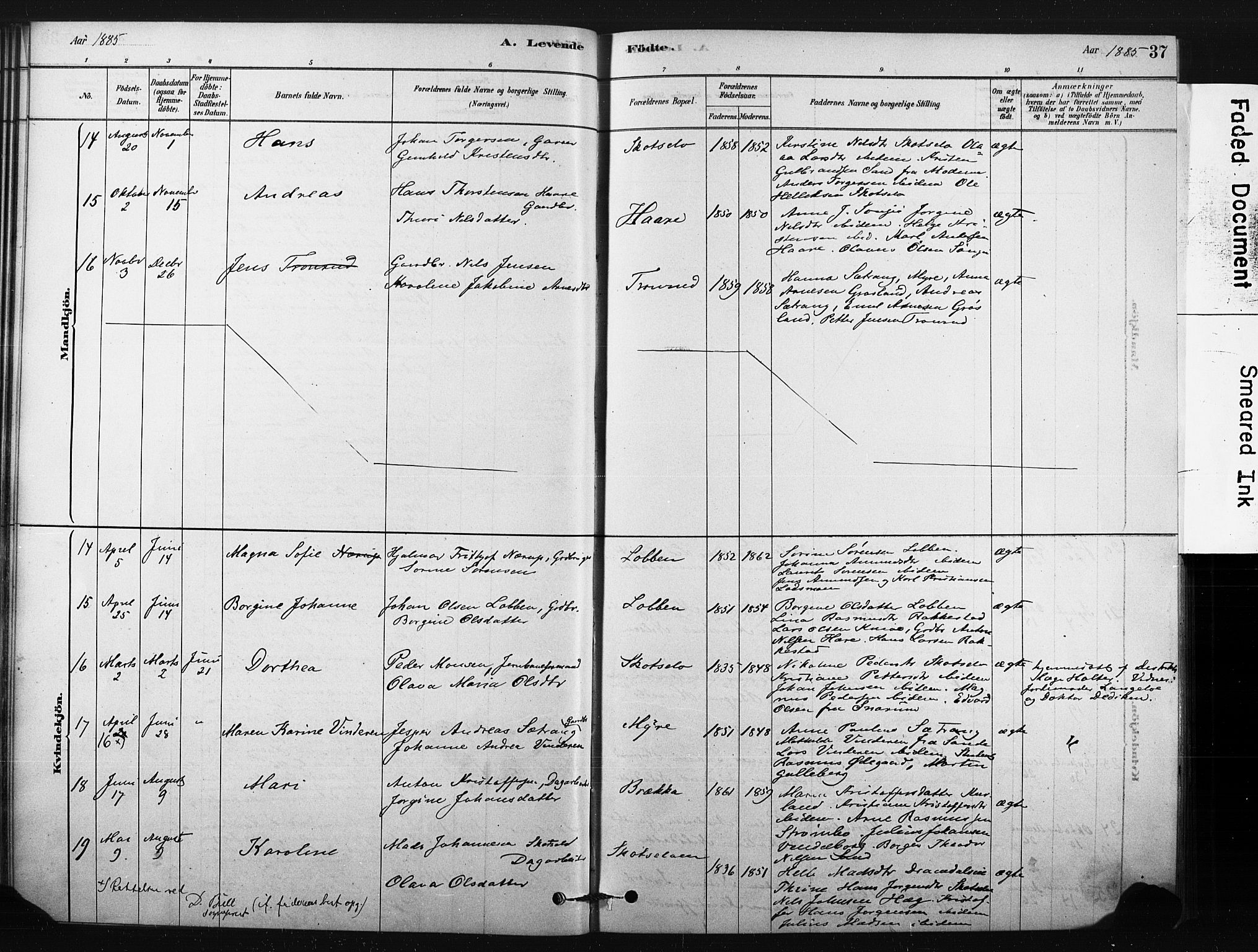 Eiker kirkebøker, AV/SAKO-A-4/F/Fc/L0001: Parish register (official) no. III 1, 1878-1889, p. 37