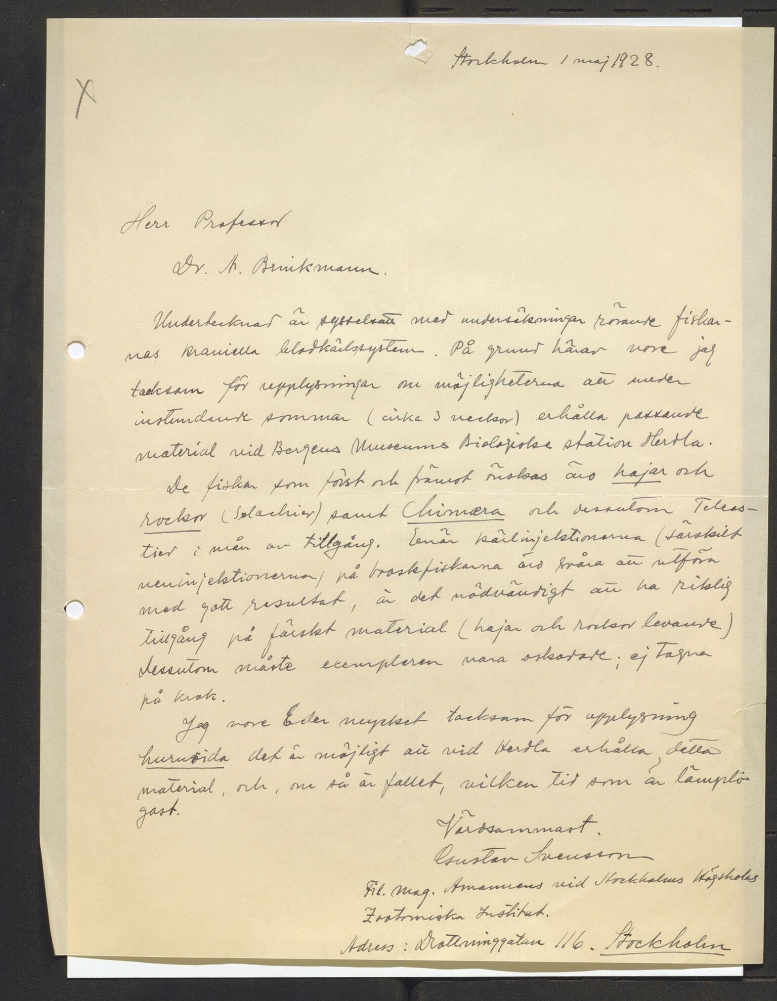 Bergens Museum, AV/SAB-A-17301/13/D/L0002: Korrespondanse , 1928-1940, p. 264