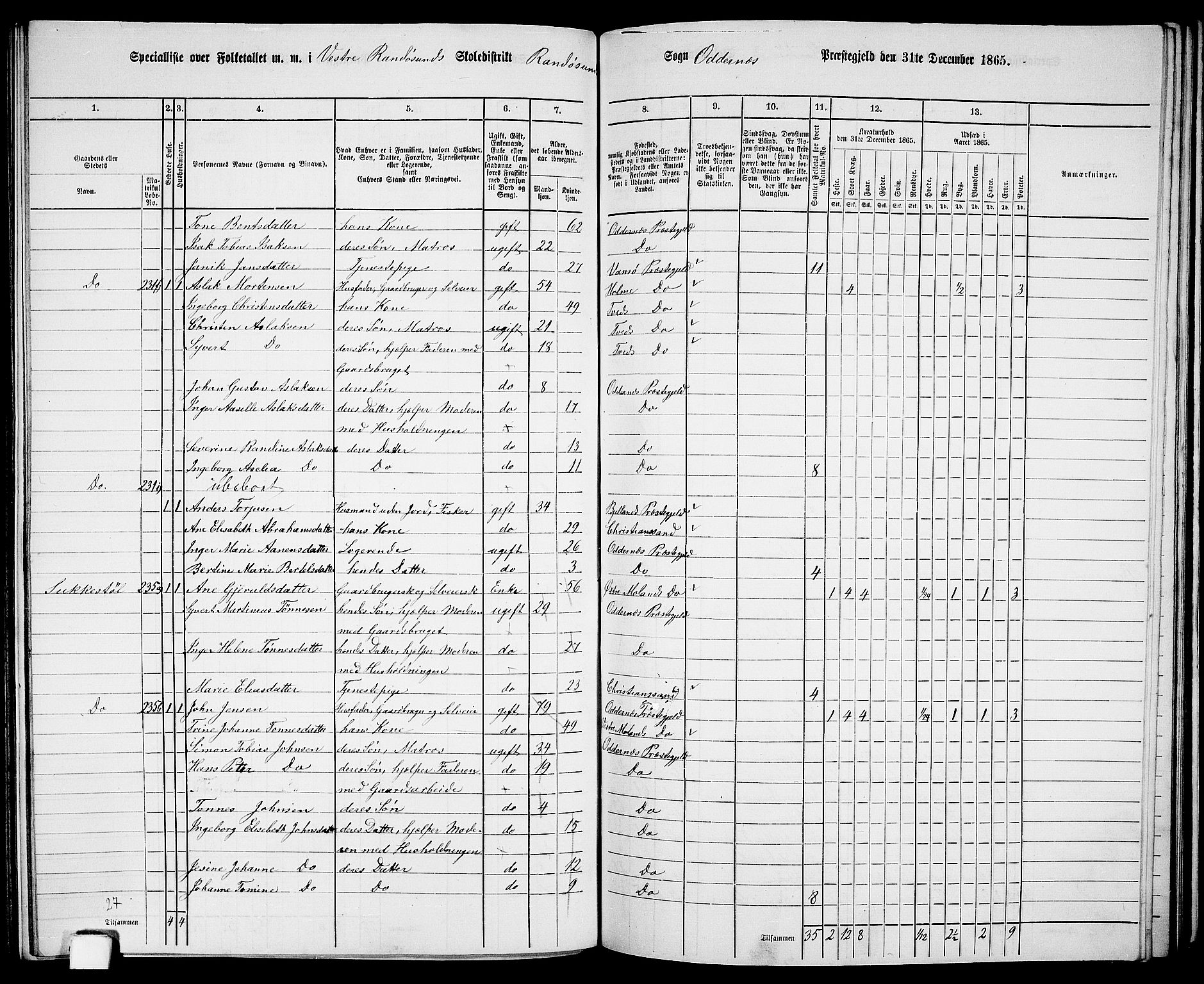 RA, 1865 census for Oddernes, 1865, p. 122