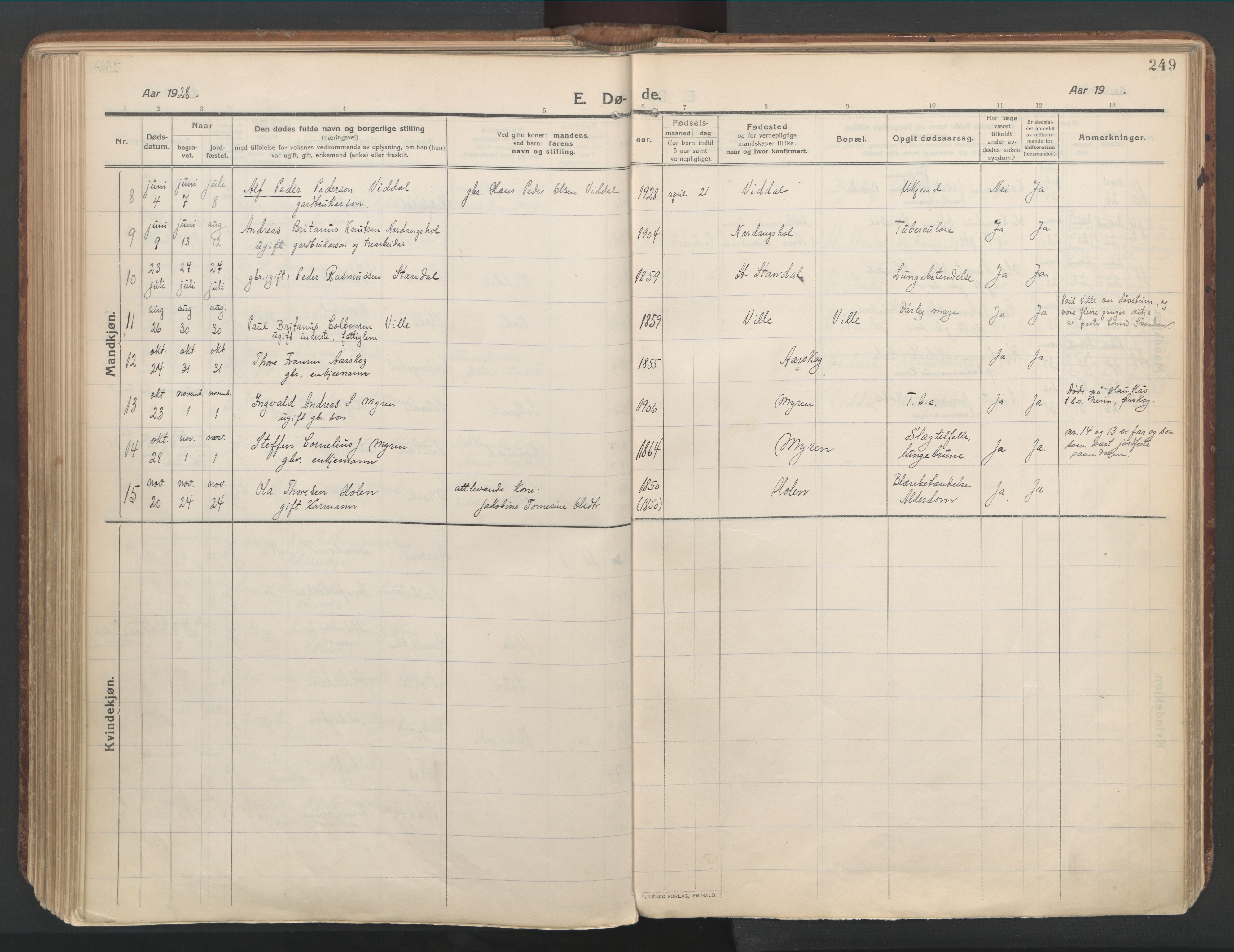 Ministerialprotokoller, klokkerbøker og fødselsregistre - Møre og Romsdal, AV/SAT-A-1454/515/L0212: Parish register (official) no. 515A08, 1911-1935, p. 249