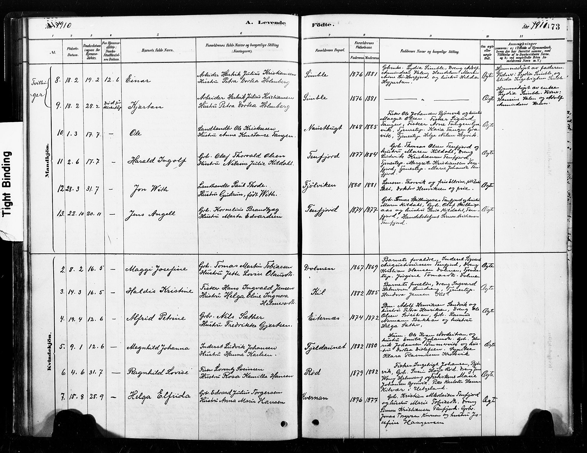 Ministerialprotokoller, klokkerbøker og fødselsregistre - Nord-Trøndelag, AV/SAT-A-1458/789/L0705: Parish register (official) no. 789A01, 1878-1910, p. 73