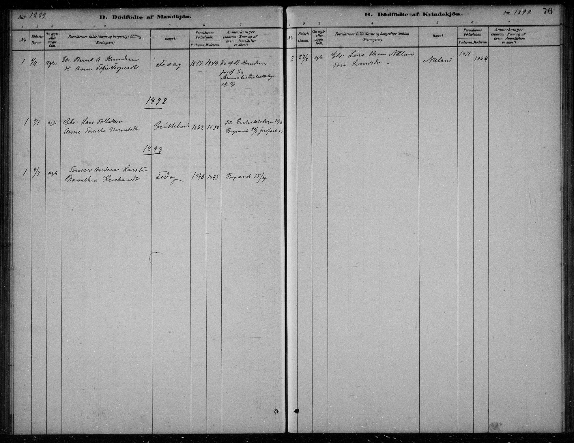 Bakke sokneprestkontor, AV/SAK-1111-0002/F/Fb/Fbb/L0003: Parish register (copy) no. B 3, 1878-1896, p. 76