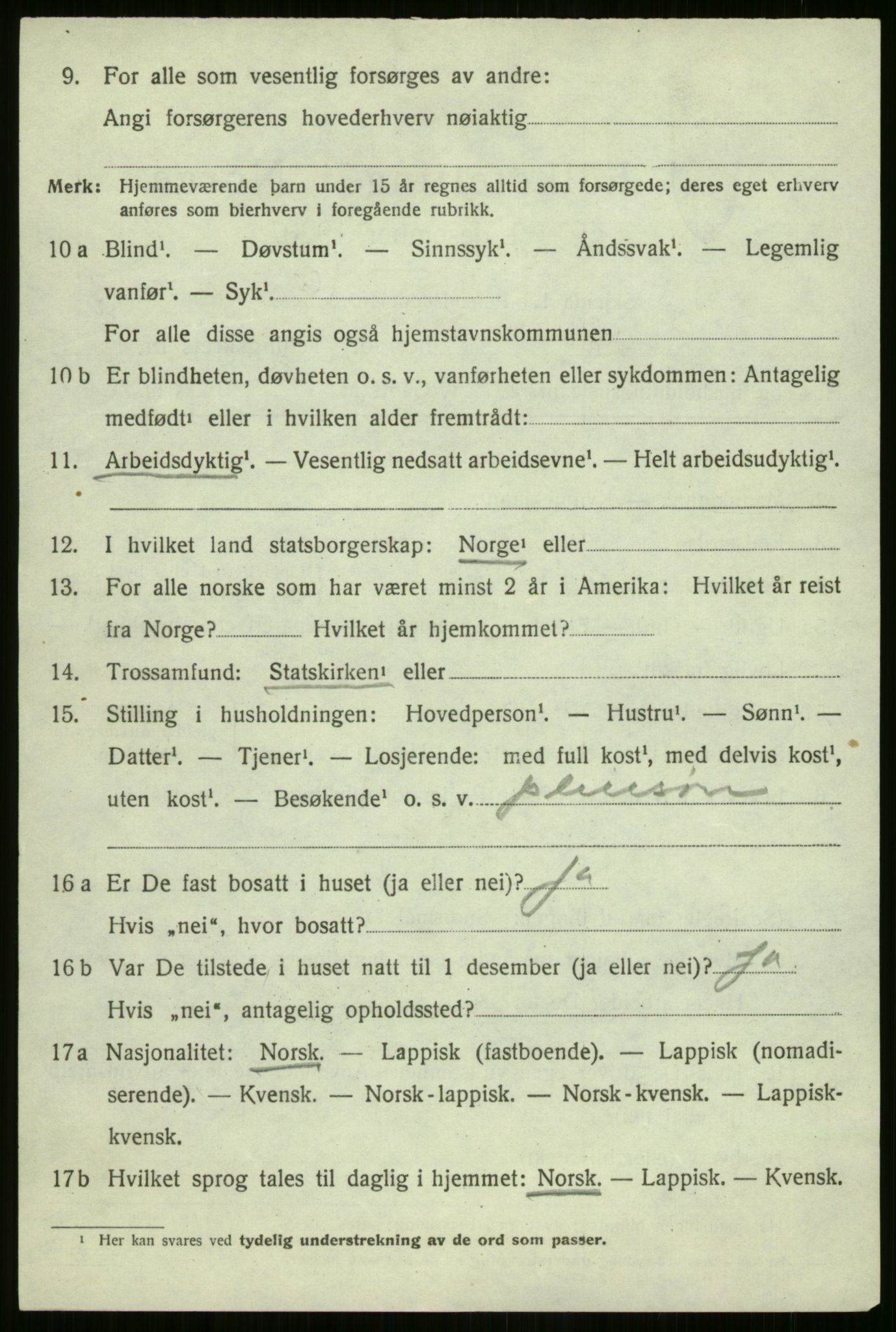 SATØ, 1920 census for Nordreisa, 1920, p. 1258