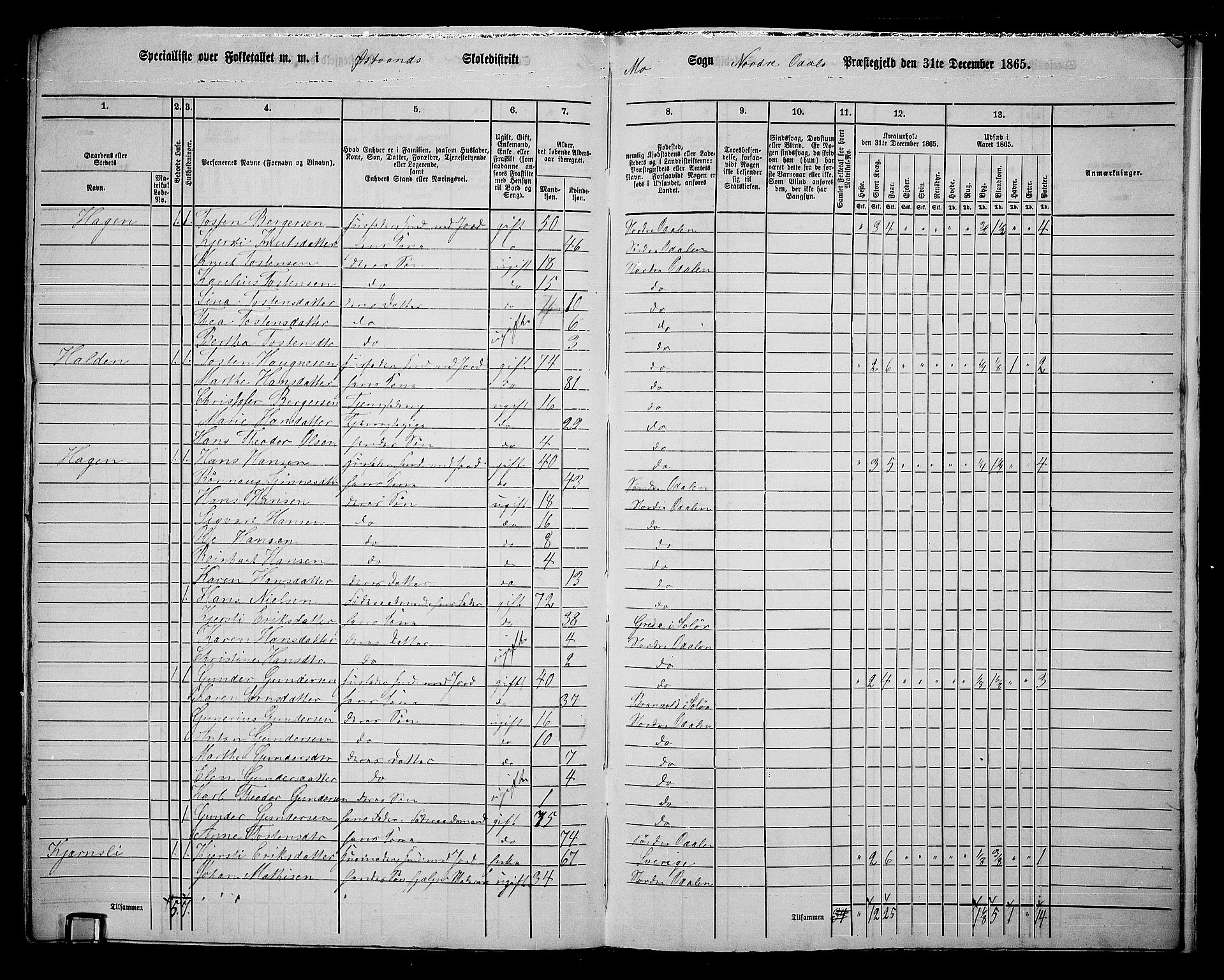 RA, 1865 census for Nord-Odal, 1865, p. 168