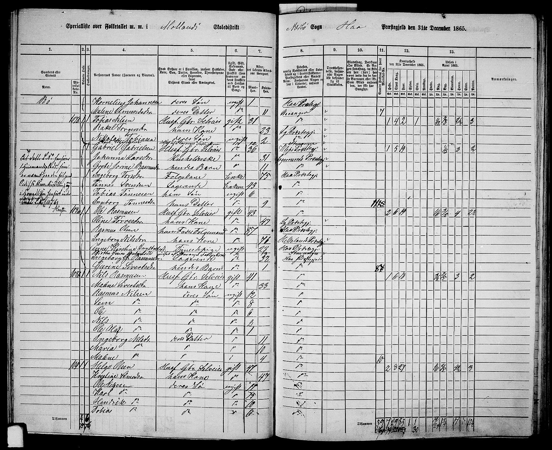 RA, 1865 census for Hå, 1865, p. 51