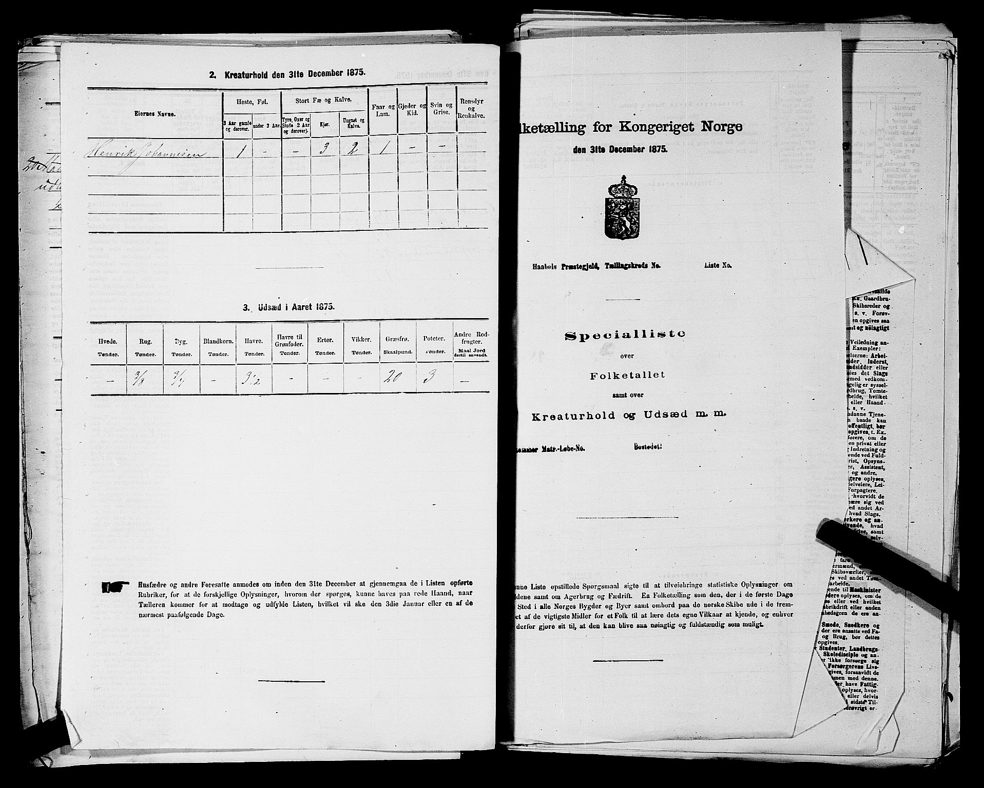 RA, 1875 census for 0137P Våler, 1875, p. 236