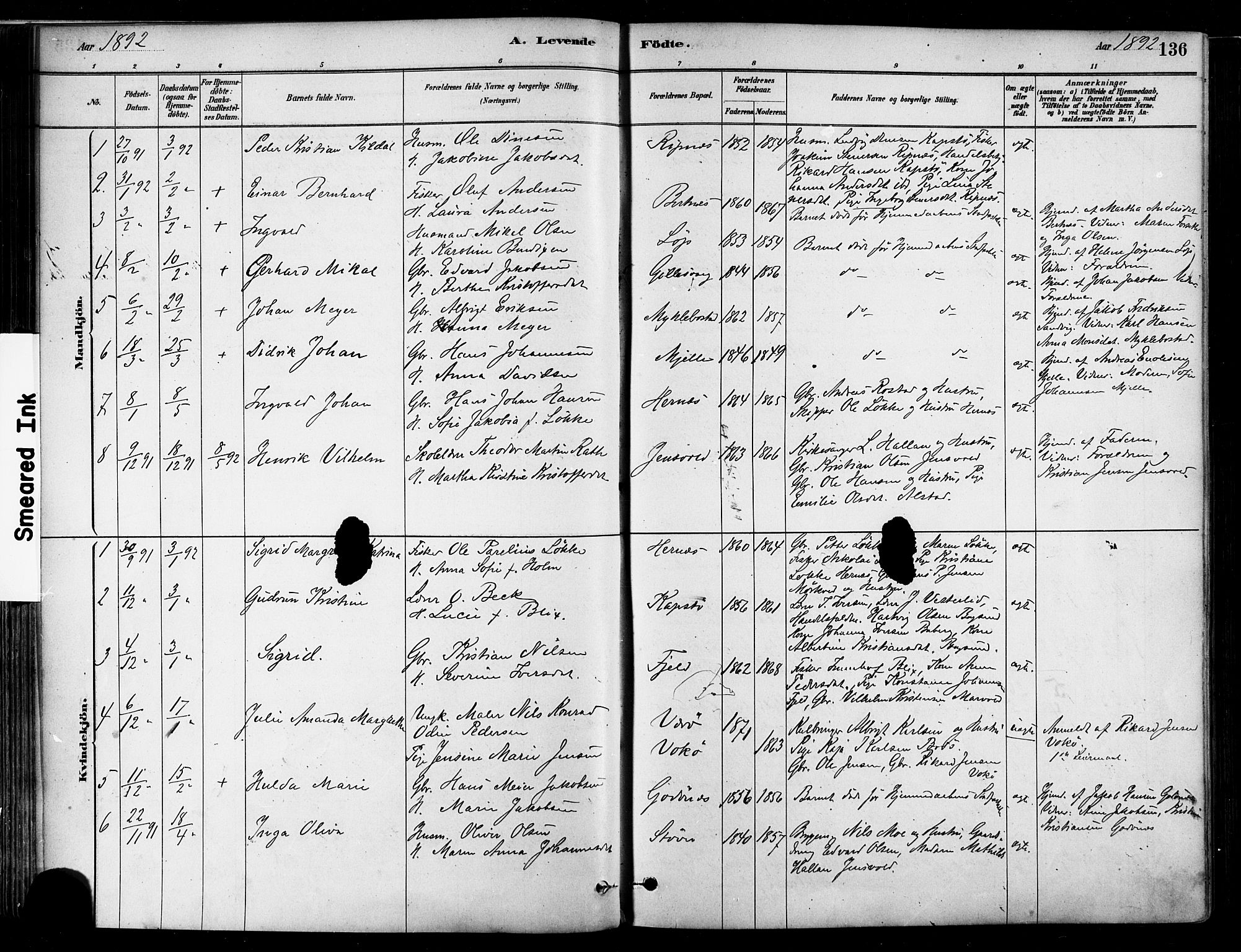Ministerialprotokoller, klokkerbøker og fødselsregistre - Nordland, SAT/A-1459/802/L0054: Parish register (official) no. 802A01, 1879-1893, p. 136