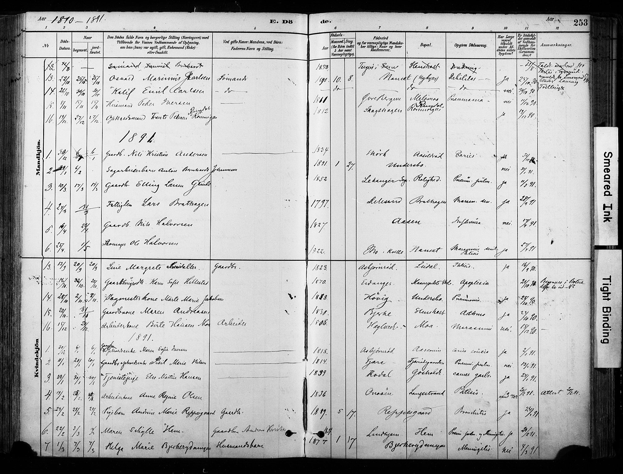 Hedrum kirkebøker, SAKO/A-344/F/Fa/L0009: Parish register (official) no. I 9, 1881-1903, p. 253