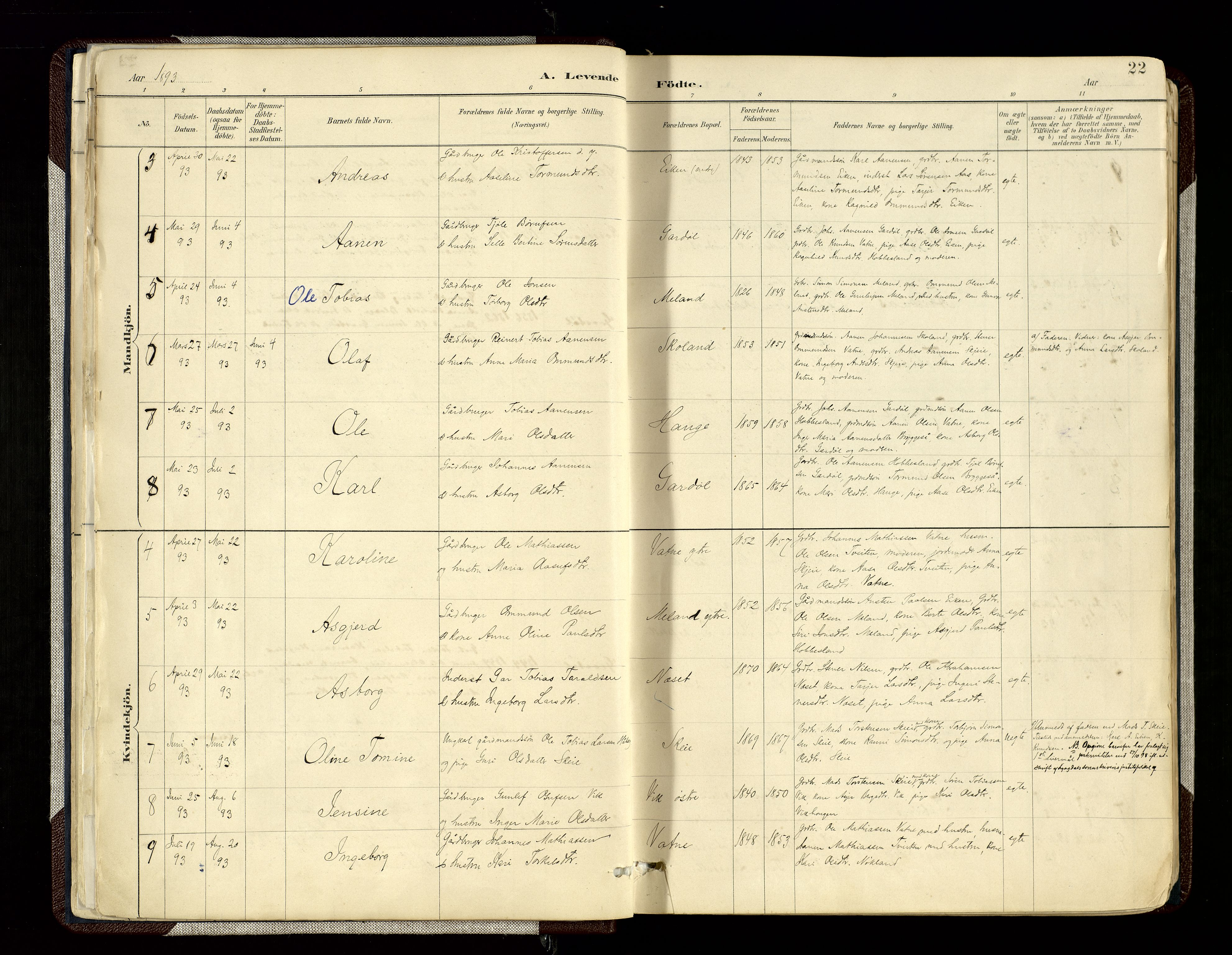Hægebostad sokneprestkontor, SAK/1111-0024/F/Fa/Fab/L0004: Parish register (official) no. A 4, 1887-1929, p. 22