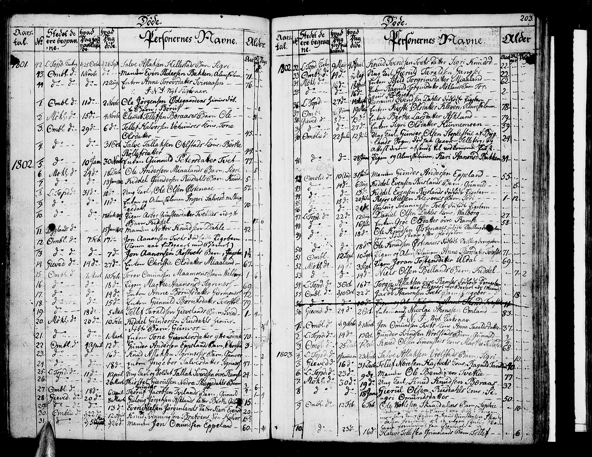 Åmli sokneprestkontor, SAK/1111-0050/F/Fa/Fac/L0005: Parish register (official) no. A 5, 1796-1816, p. 203