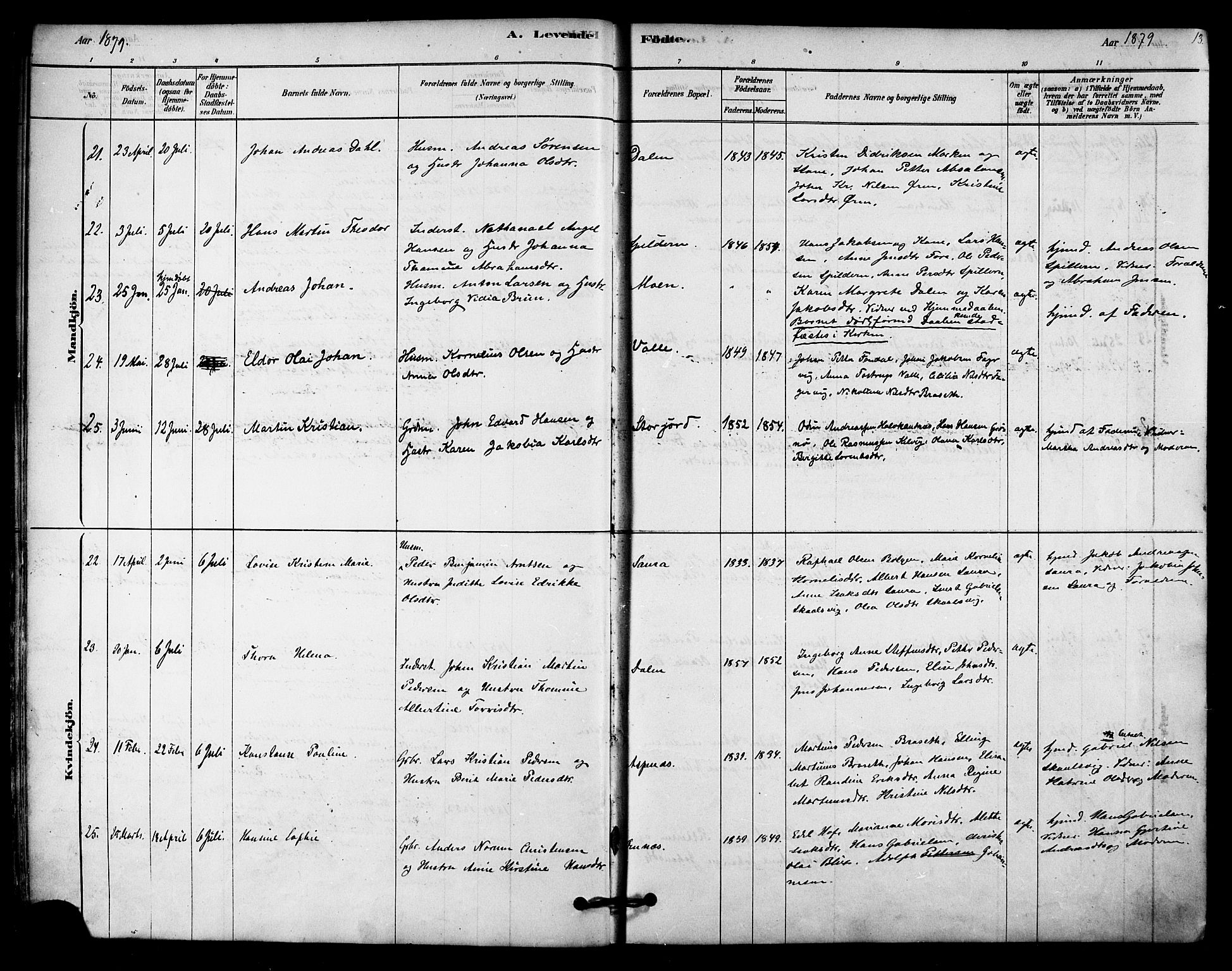 Ministerialprotokoller, klokkerbøker og fødselsregistre - Nordland, AV/SAT-A-1459/843/L0626: Parish register (official) no. 843A01, 1878-1907, p. 13