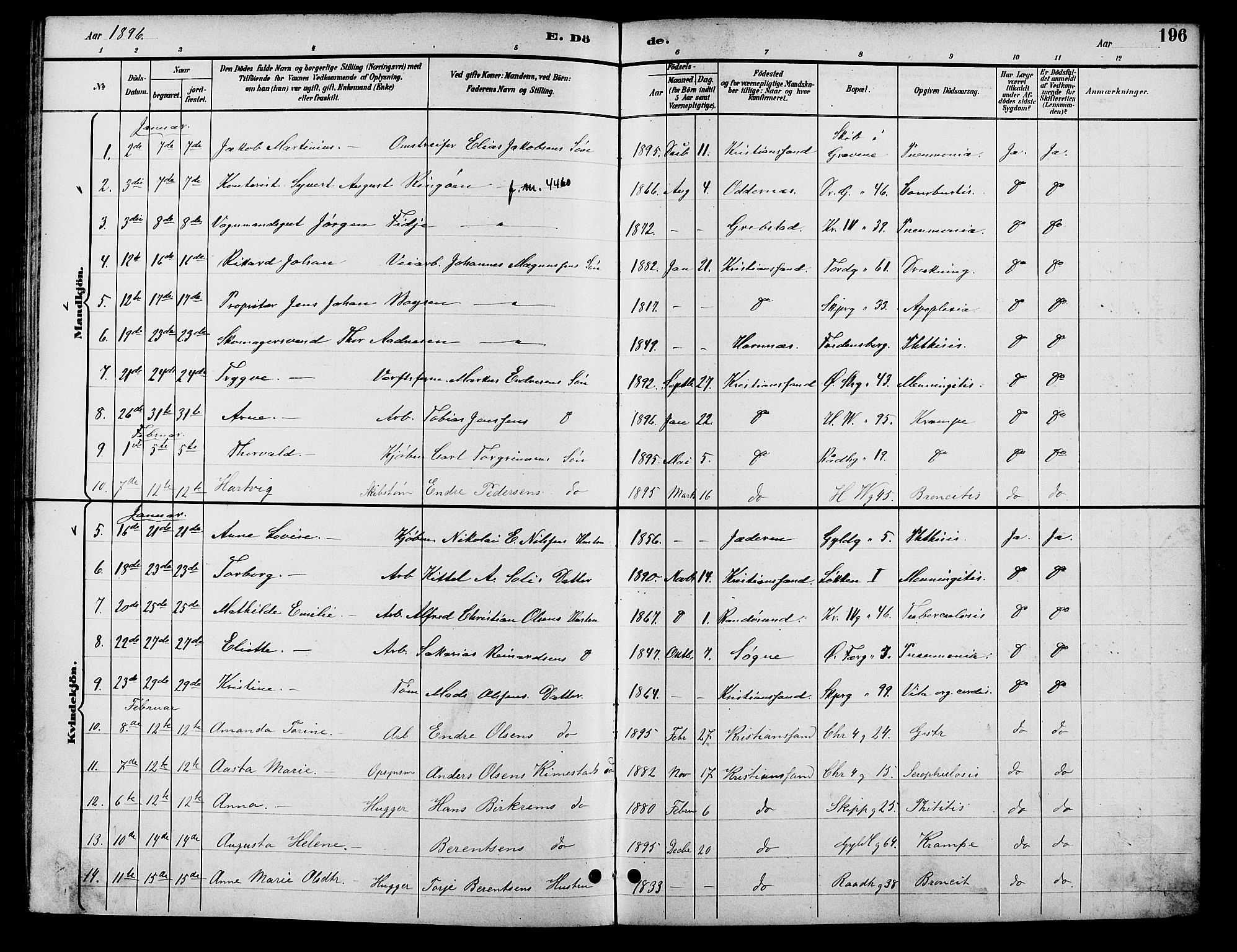 Kristiansand domprosti, SAK/1112-0006/F/Fb/L0017: Parish register (copy) no. B 17, 1893-1906, p. 196