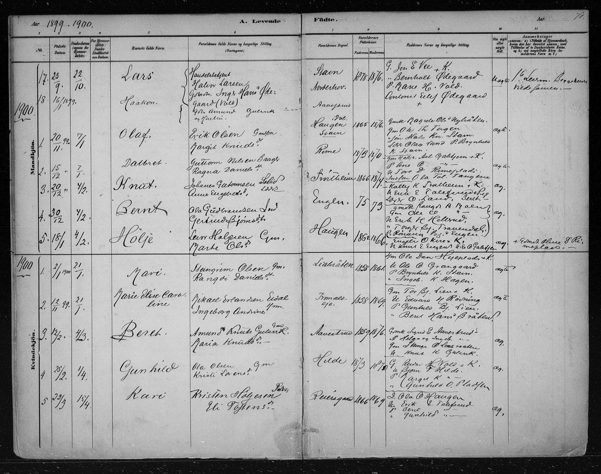 Nes kirkebøker, AV/SAKO-A-236/F/Fa/L0012: Parish register (official) no. 12, 1881-1917, p. 70