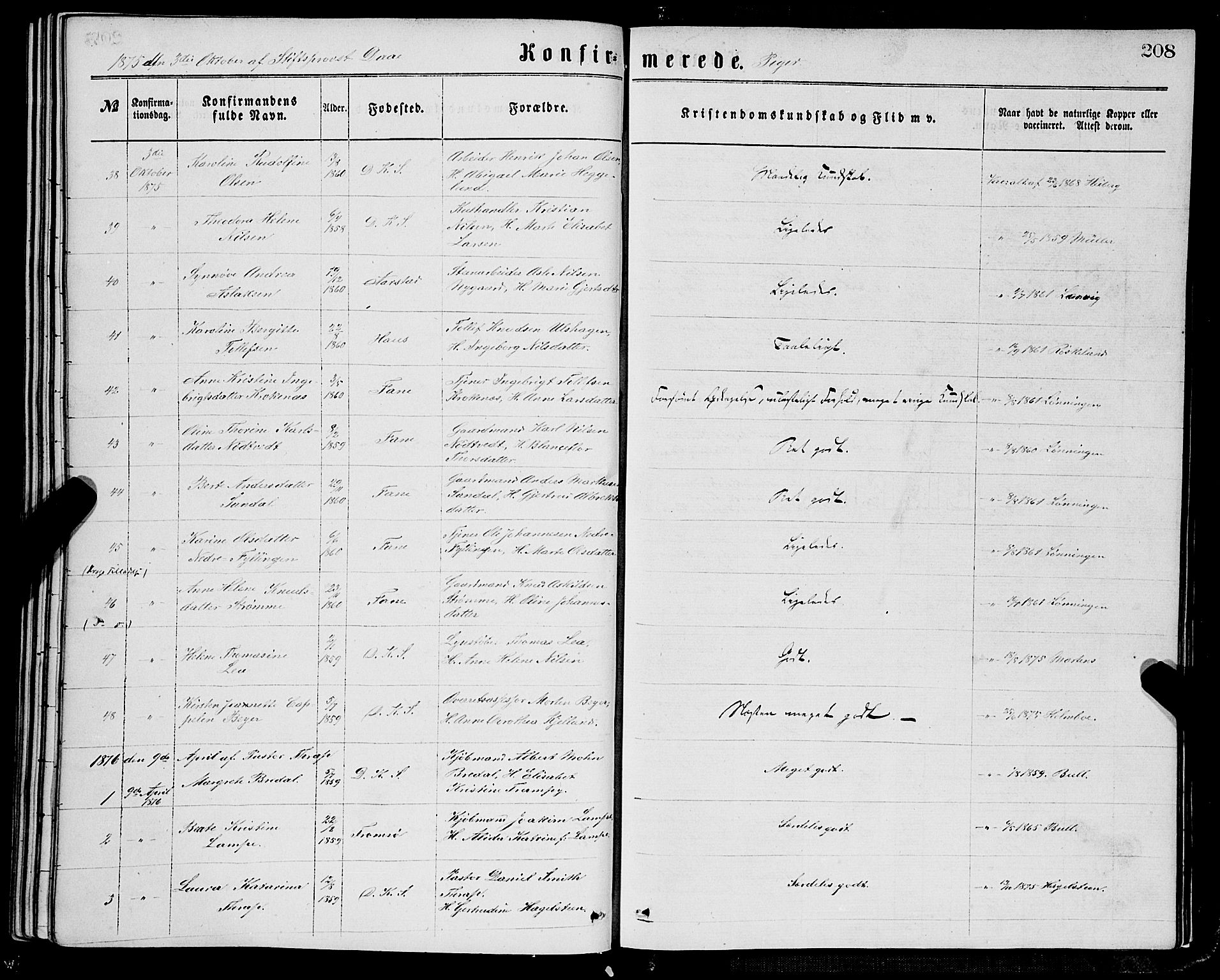 Domkirken sokneprestembete, SAB/A-74801/H/Haa/L0029: Parish register (official) no. C 4, 1864-1879, p. 208