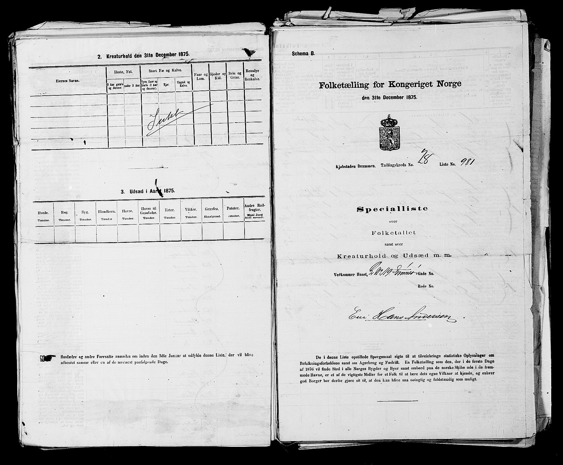 SAKO, 1875 census for 0602 Drammen, 1875, p. 2683
