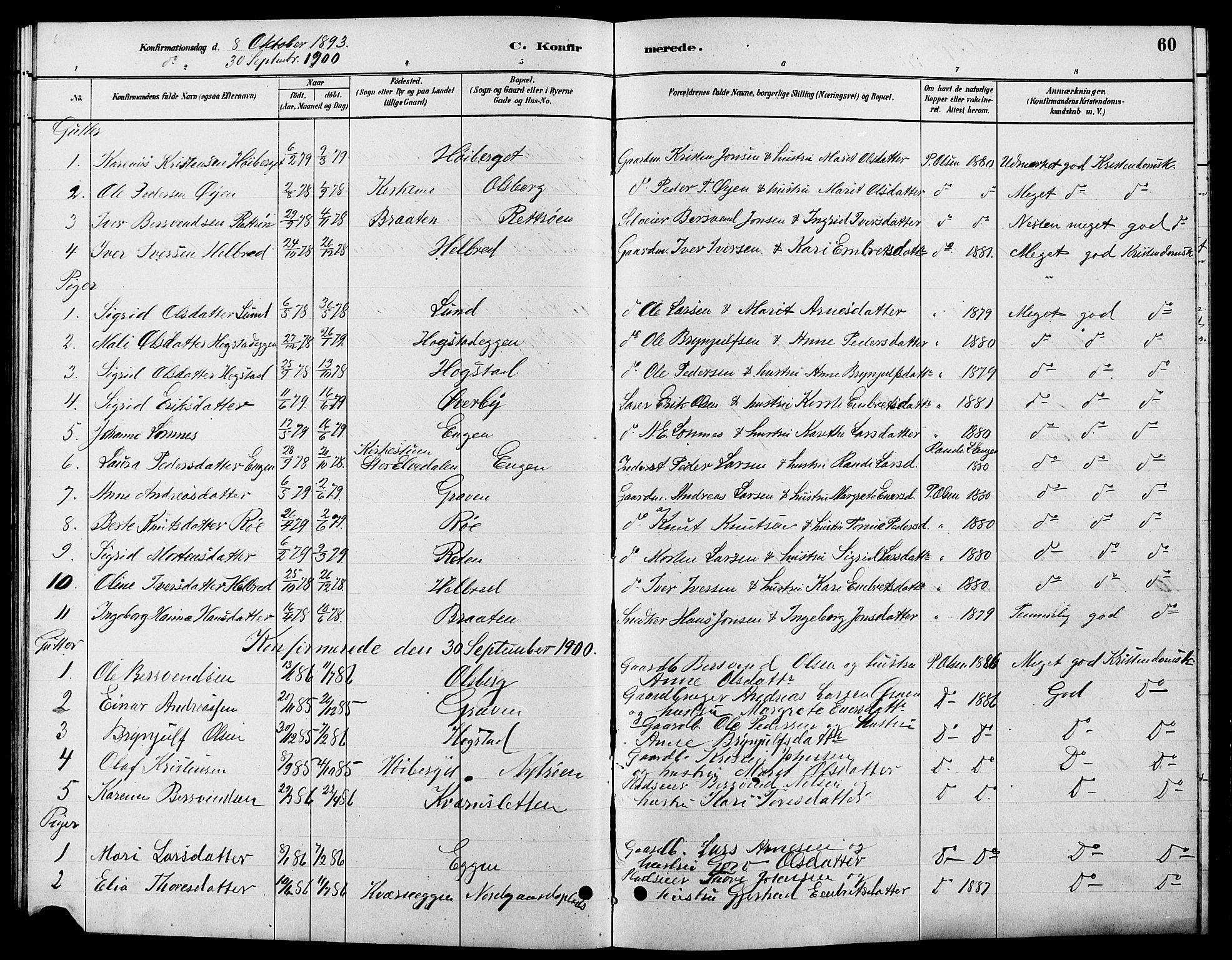 Tynset prestekontor, SAH/PREST-058/H/Ha/Hab/L0007: Parish register (copy) no. 7, 1880-1901, p. 60