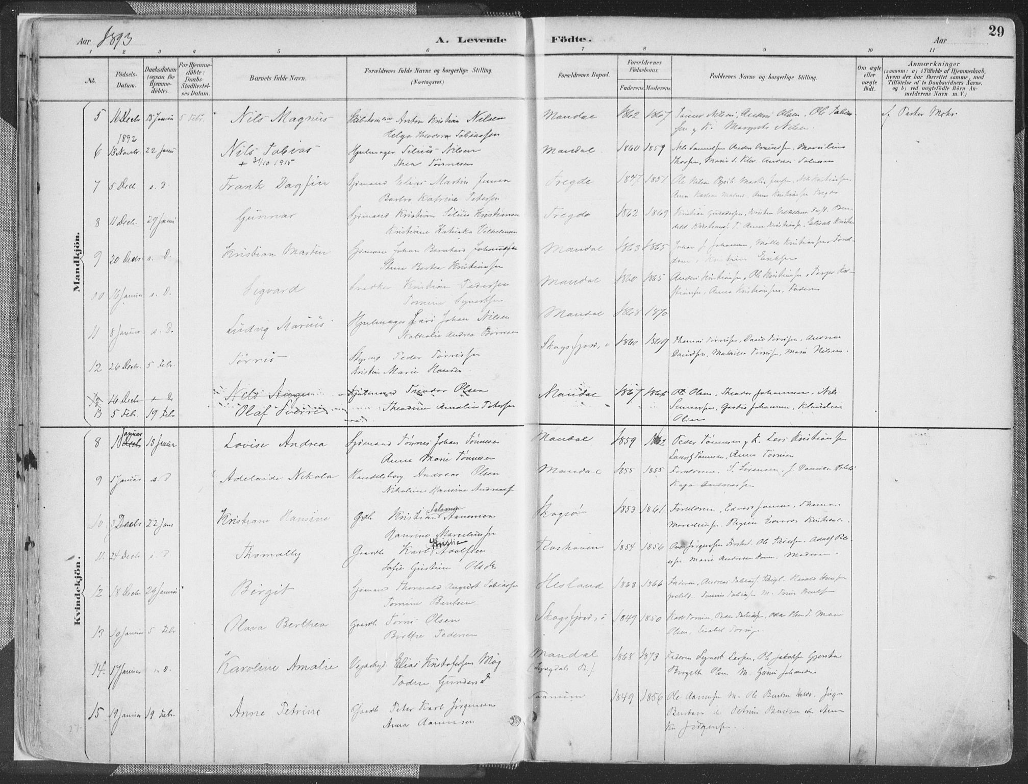 Mandal sokneprestkontor, AV/SAK-1111-0030/F/Fa/Faa/L0018: Parish register (official) no. A 18, 1890-1905, p. 29