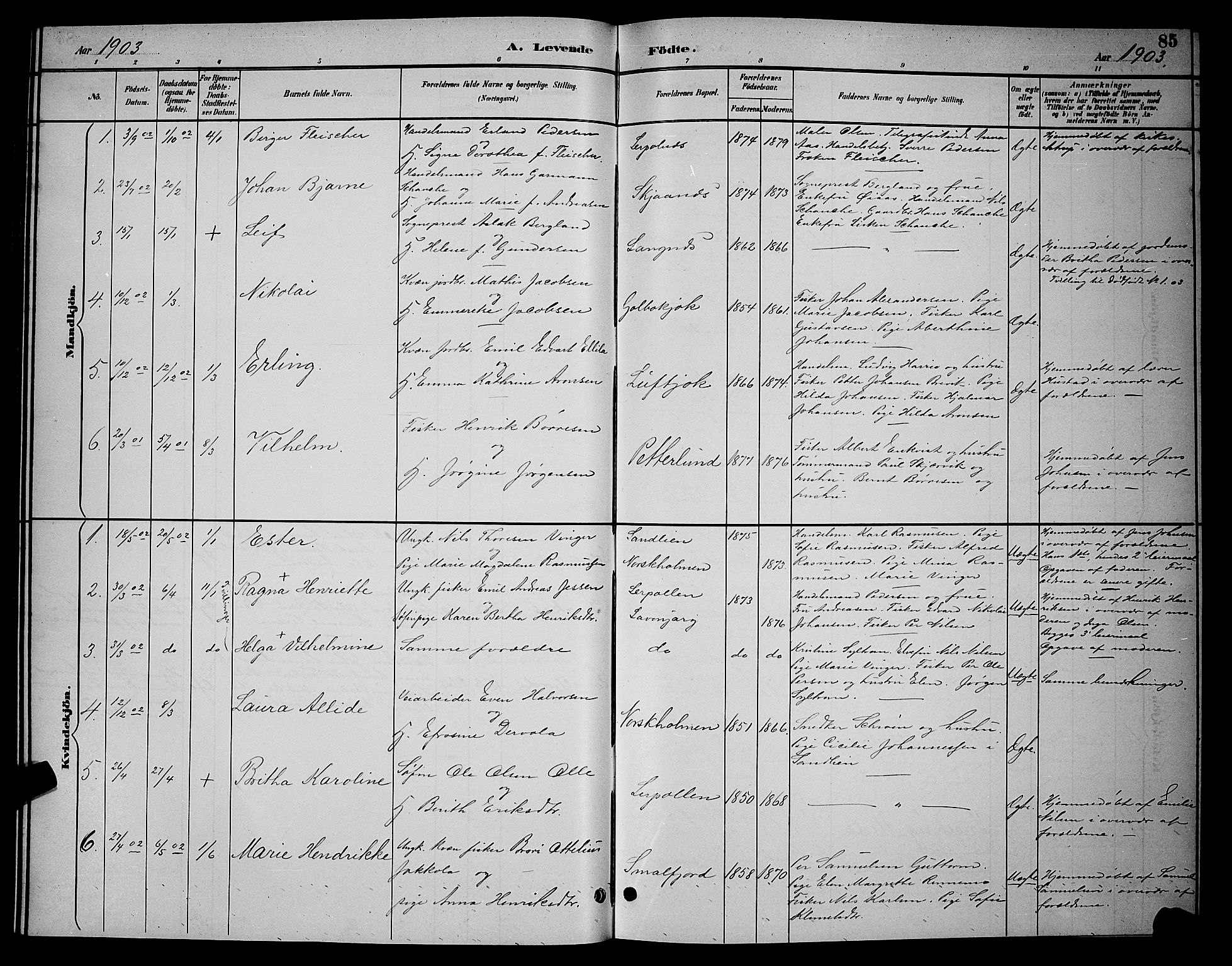 Tana sokneprestkontor, SATØ/S-1334/H/Hb/L0004klokker: Parish register (copy) no. 4, 1890-1903, p. 85