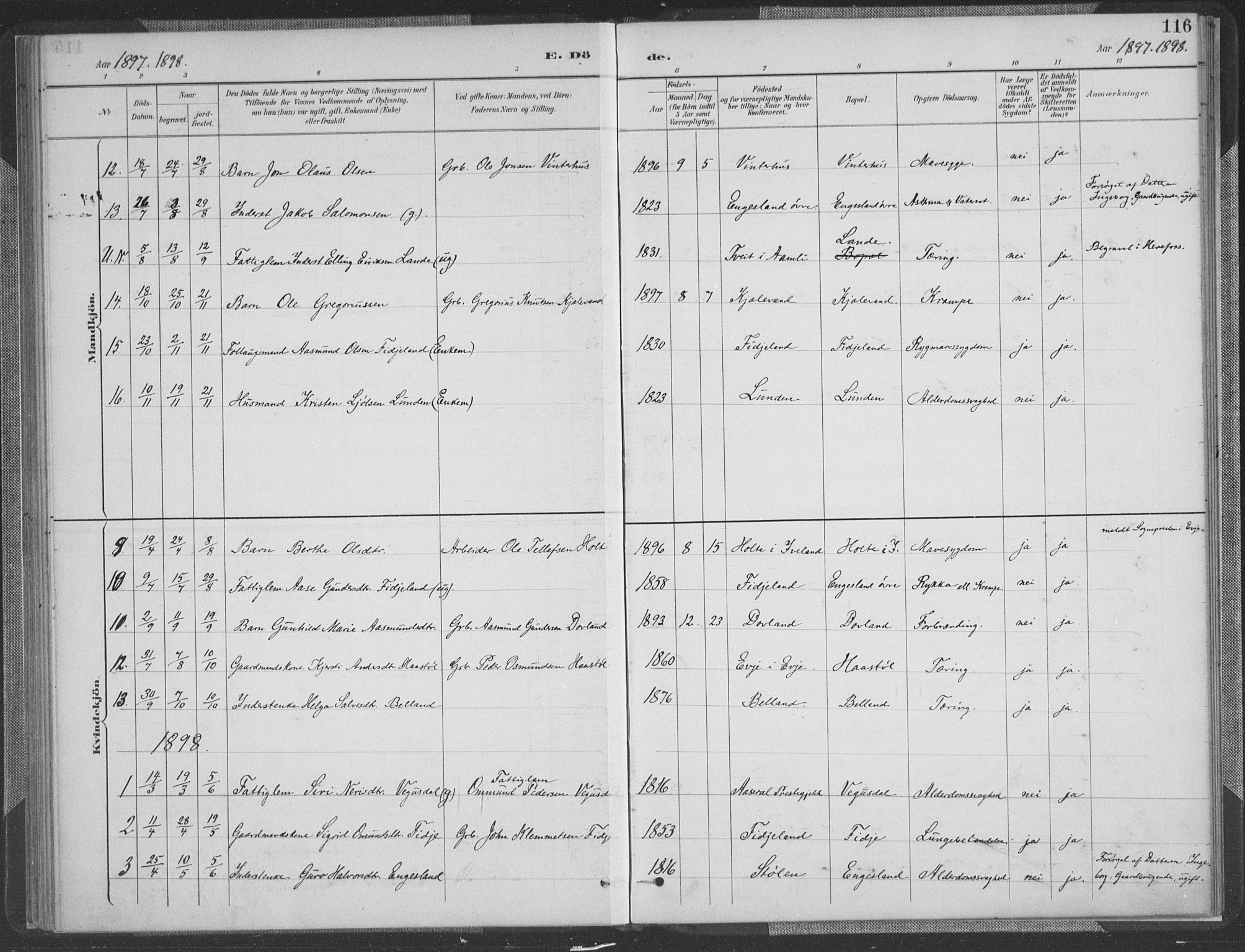 Herefoss sokneprestkontor, AV/SAK-1111-0019/F/Fa/Fab/L0004: Parish register (official) no. A 4, 1887-1909, p. 116