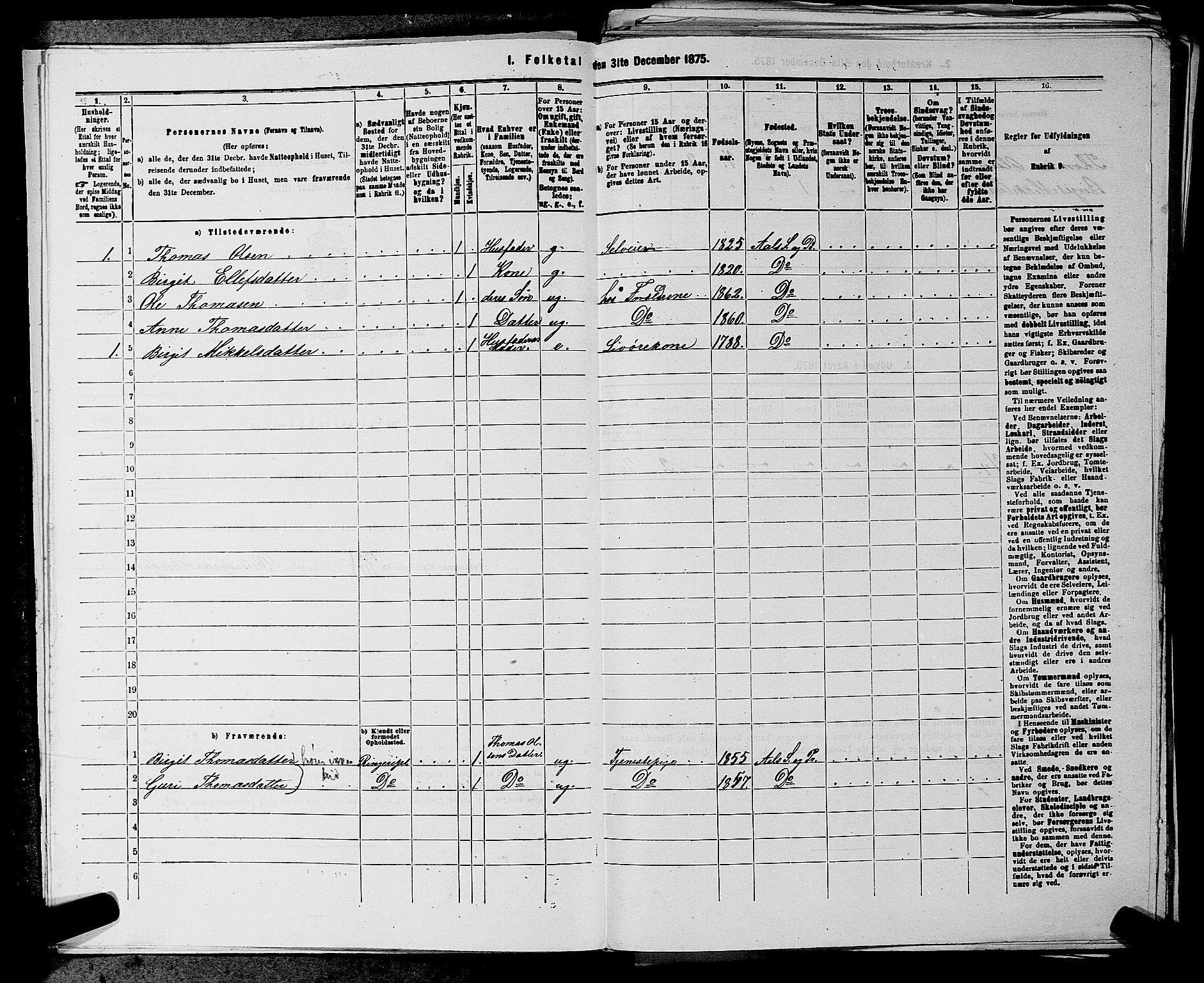 SAKO, 1875 census for 0619P Ål, 1875, p. 1108