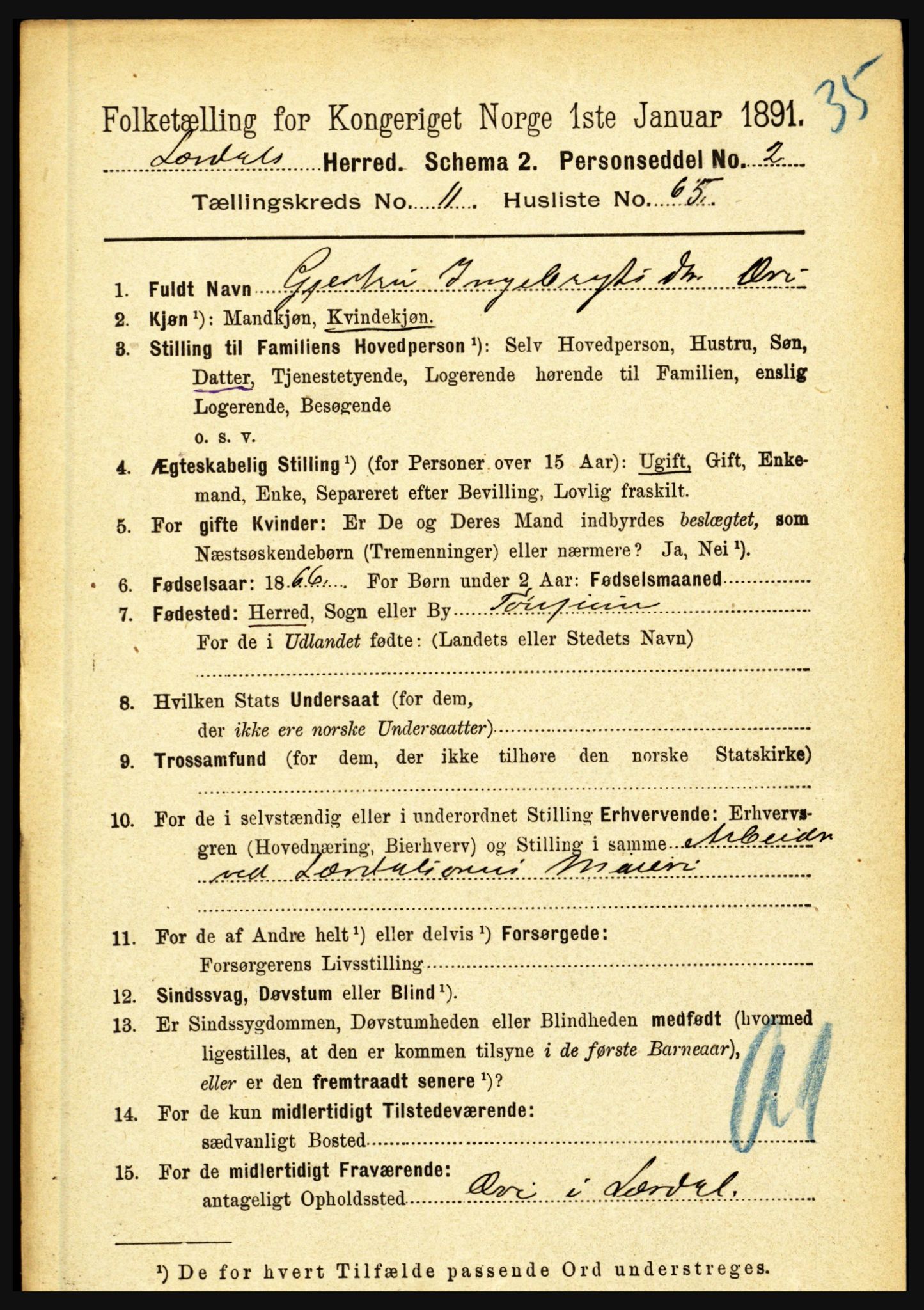 RA, 1891 census for 1422 Lærdal, 1891, p. 2516