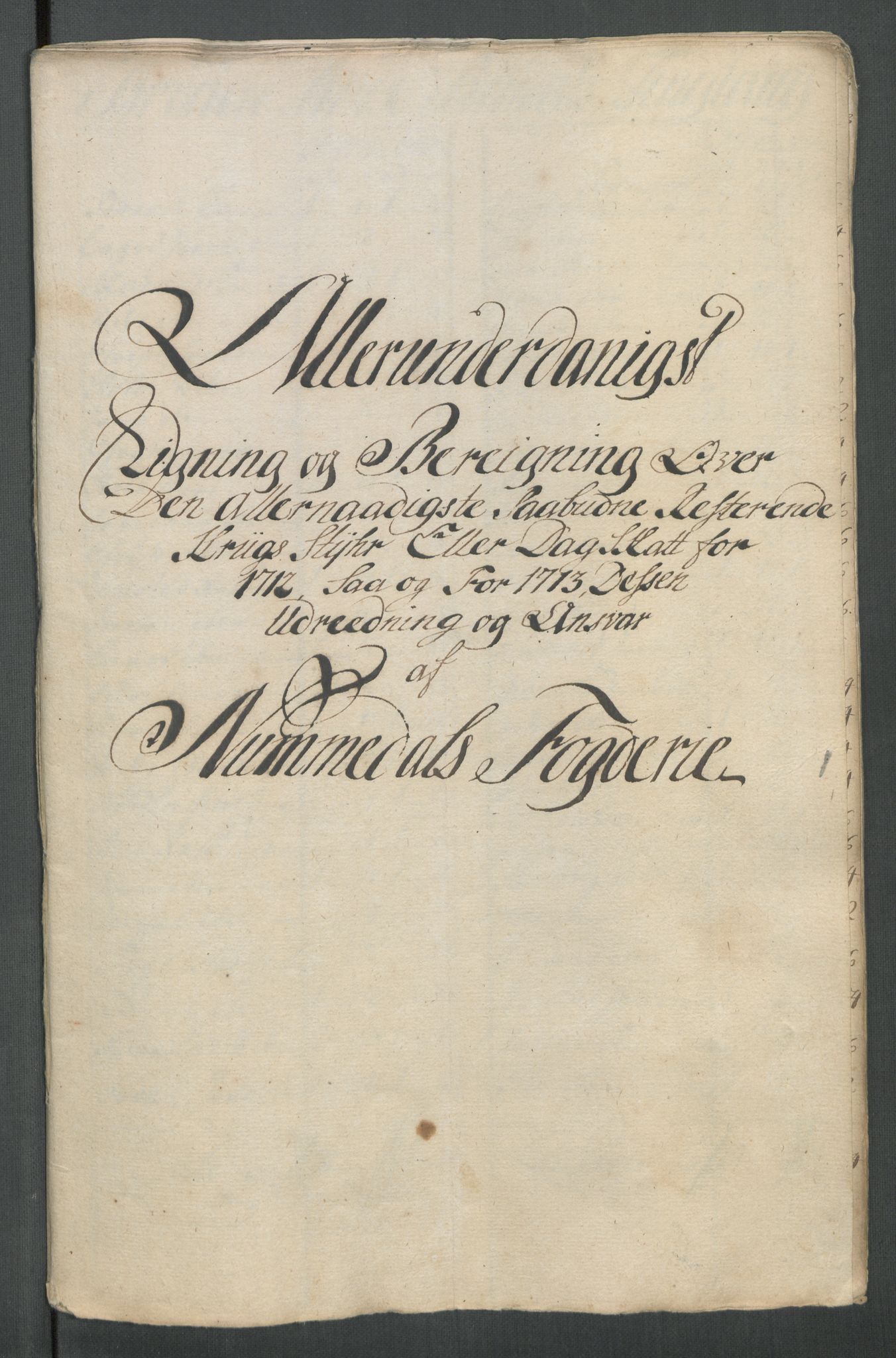 Rentekammeret inntil 1814, Reviderte regnskaper, Fogderegnskap, RA/EA-4092/R64/L4434: Fogderegnskap Namdal, 1713, p. 133