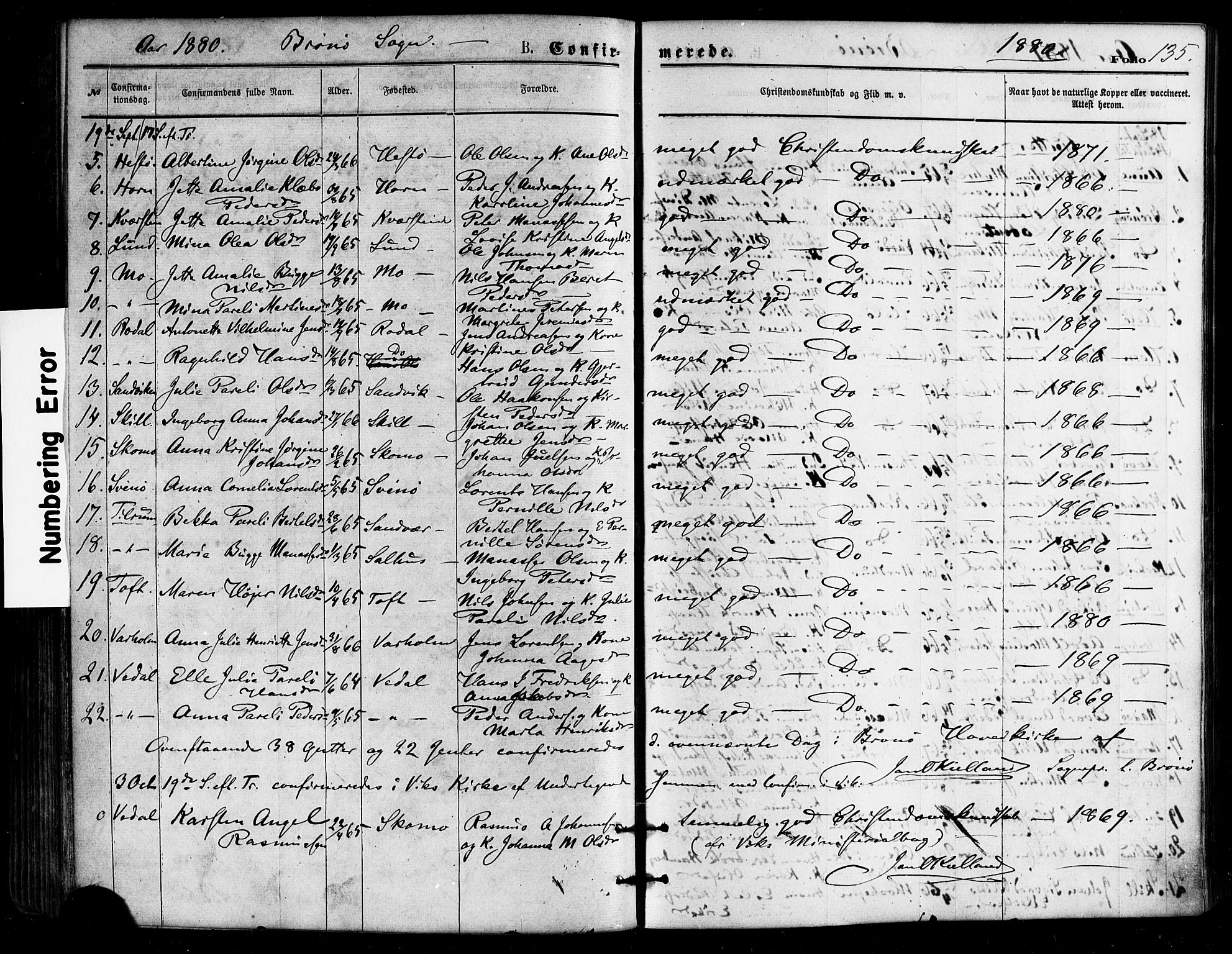 Ministerialprotokoller, klokkerbøker og fødselsregistre - Nordland, SAT/A-1459/813/L0199: Parish register (official) no. 813A09, 1875-1885, p. 136
